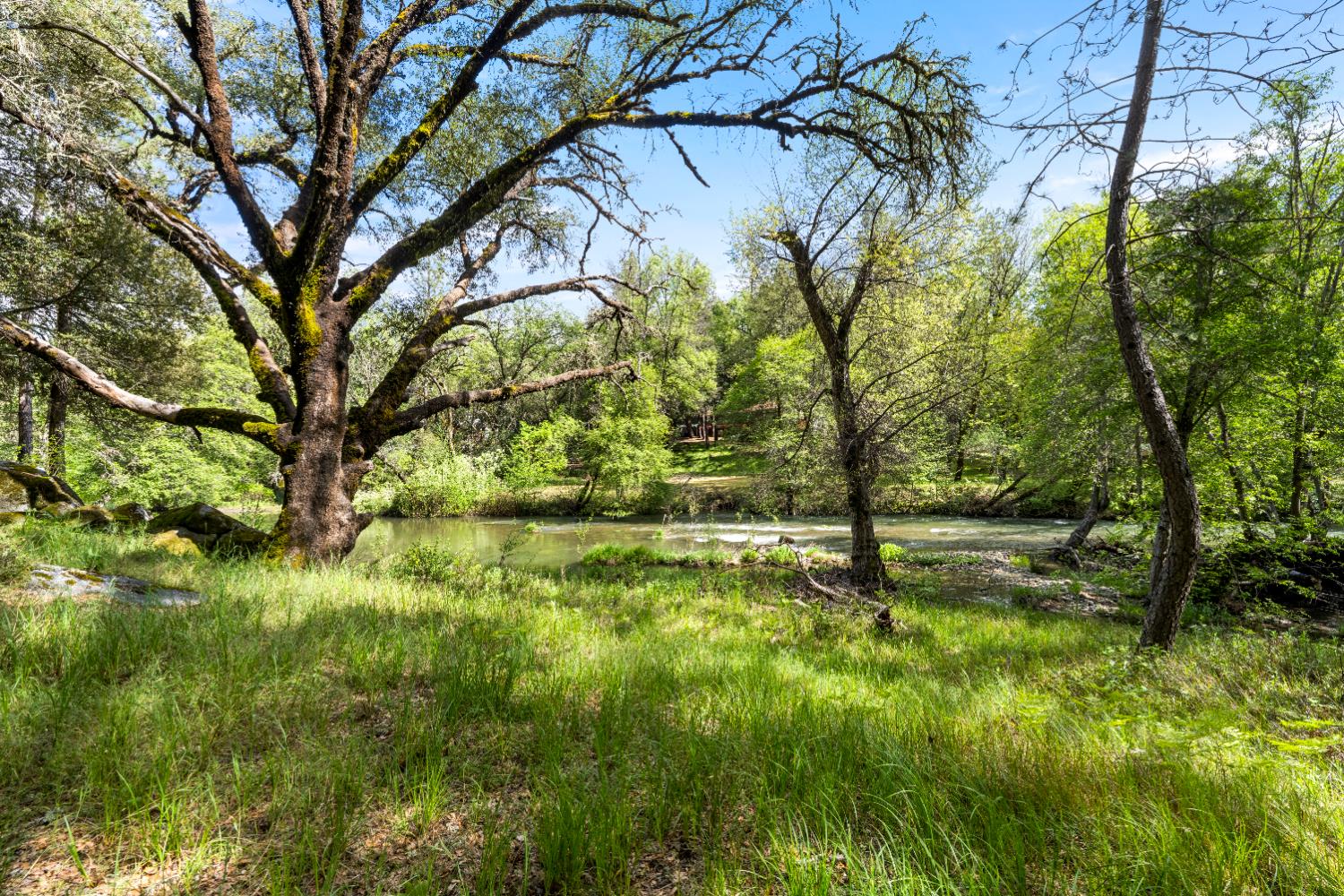 7321 Morning Canyon Road