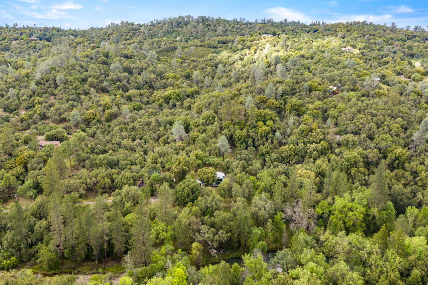 7321 Morning Canyon Road