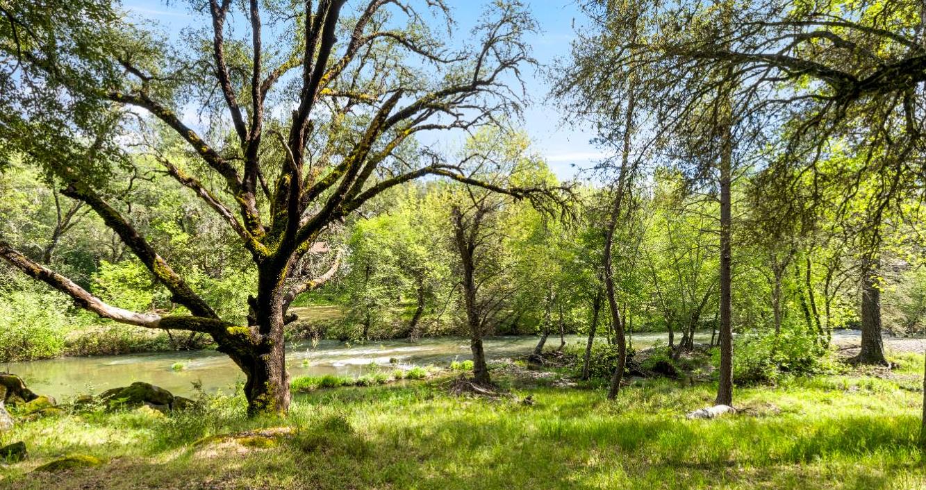 7321 Morning Canyon Road