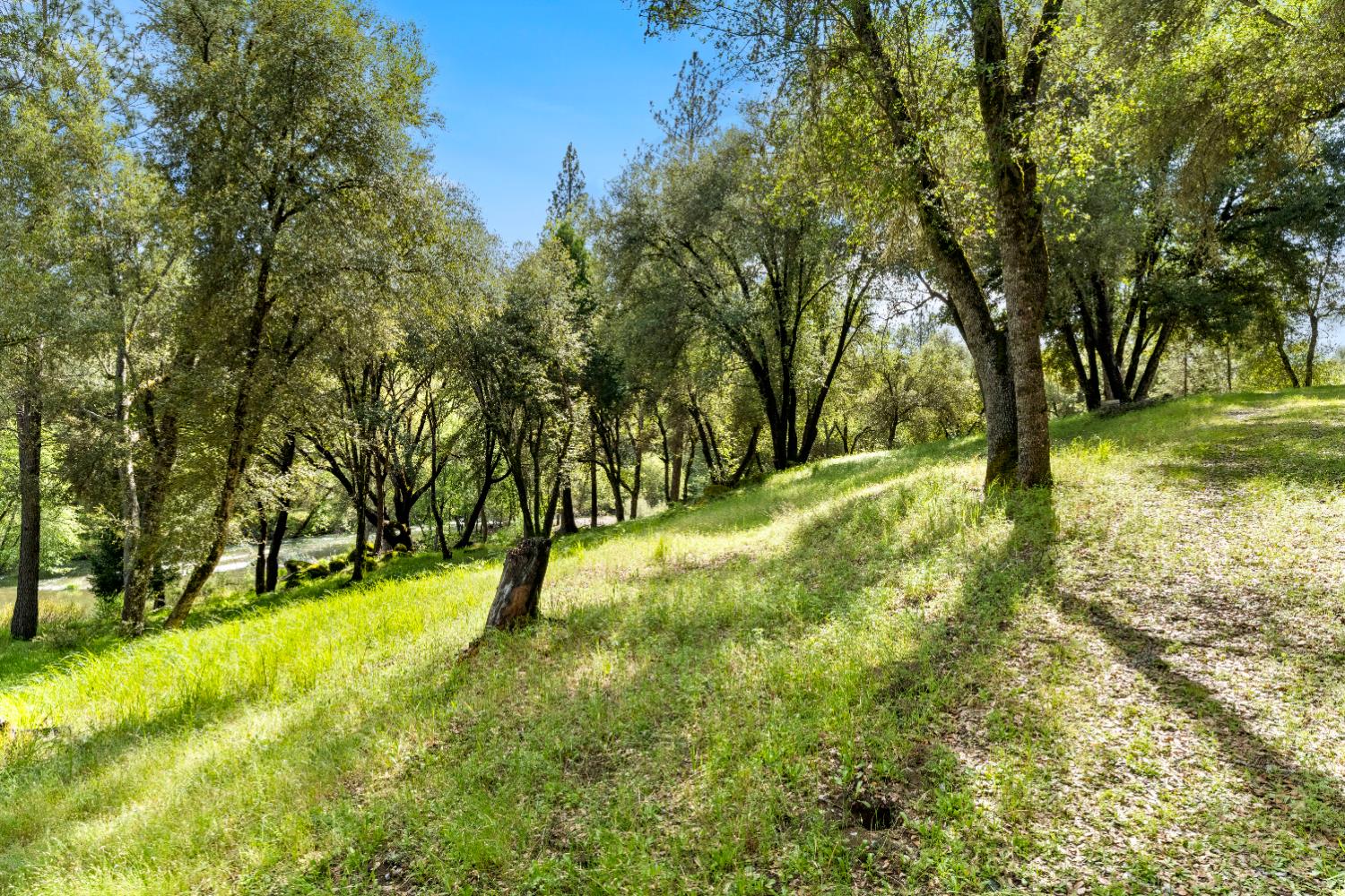 7321 Morning Canyon Road