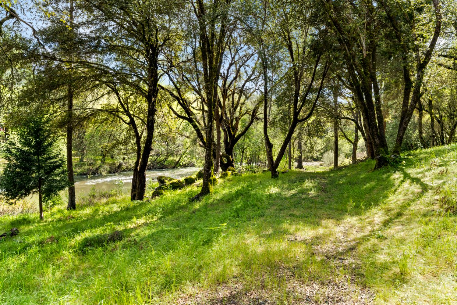 7321 Morning Canyon Road