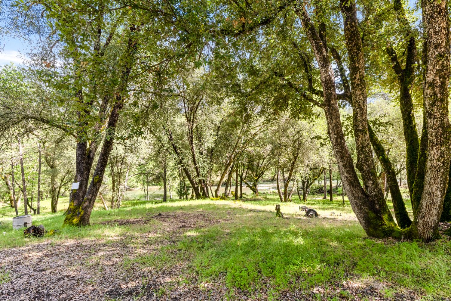 7321 Morning Canyon Road