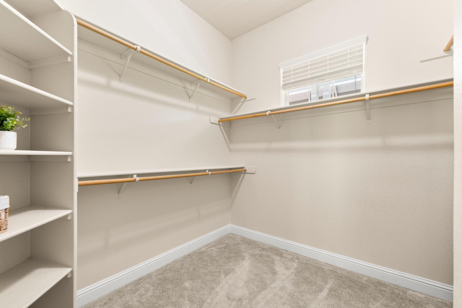 4350 White Rose Lane