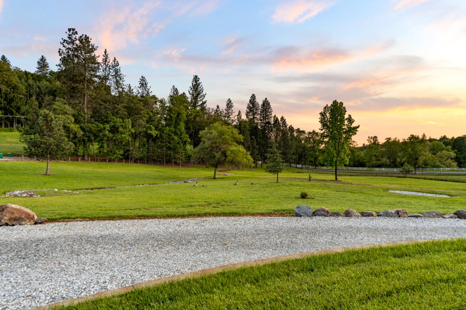 4350 White Rose Lane