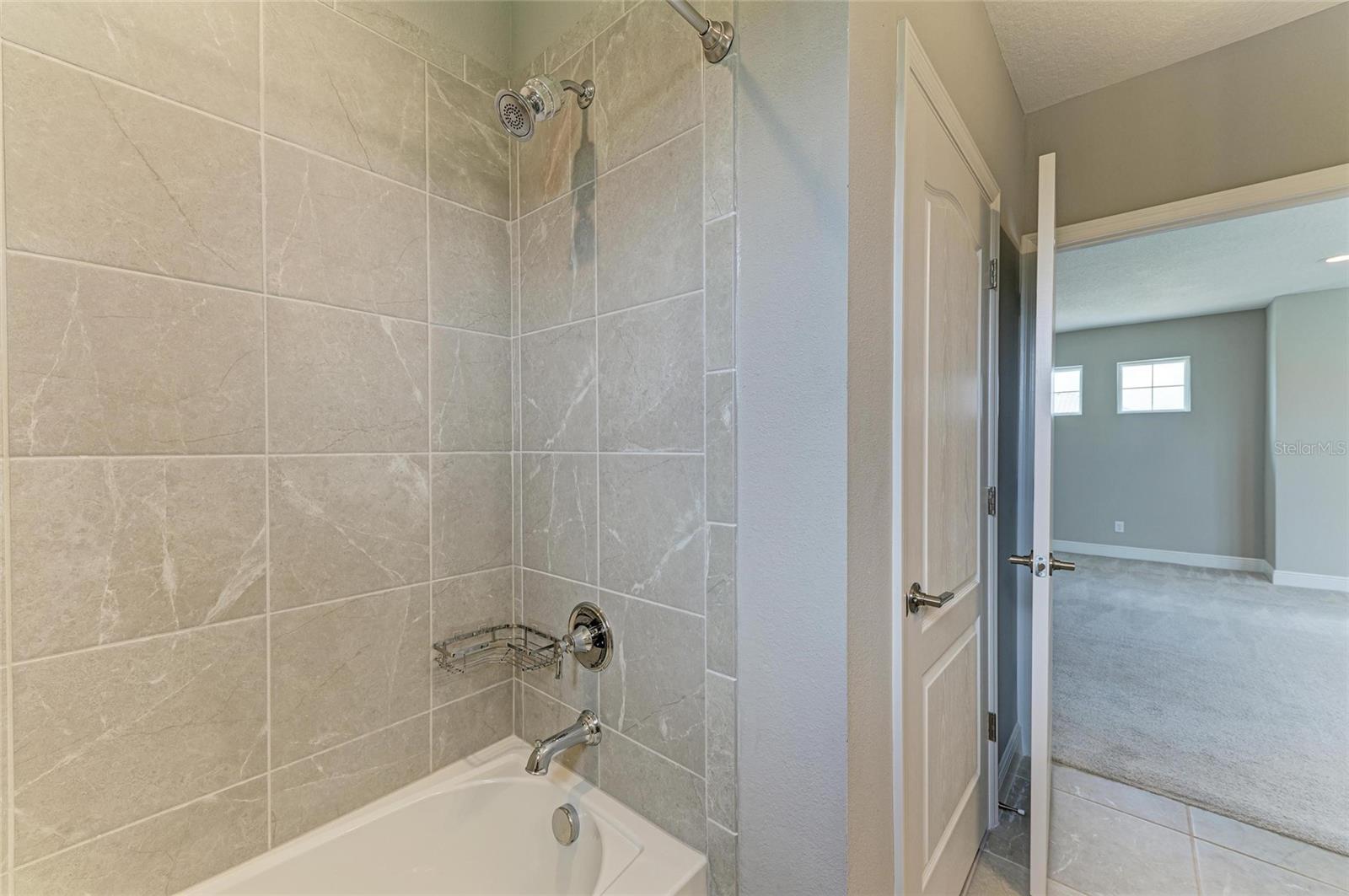 2802 BUTTERFLY JASMINE TRL