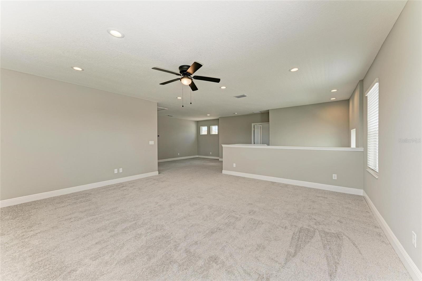 2802 BUTTERFLY JASMINE TRL