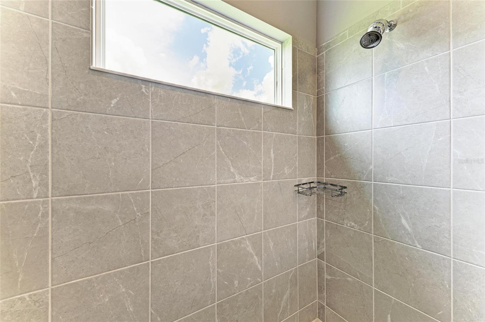 2802 BUTTERFLY JASMINE TRL