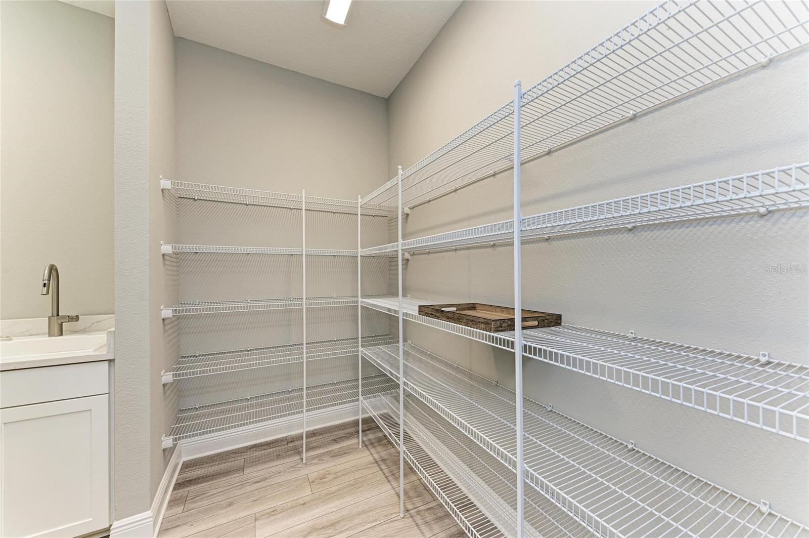 2802 BUTTERFLY JASMINE TRL