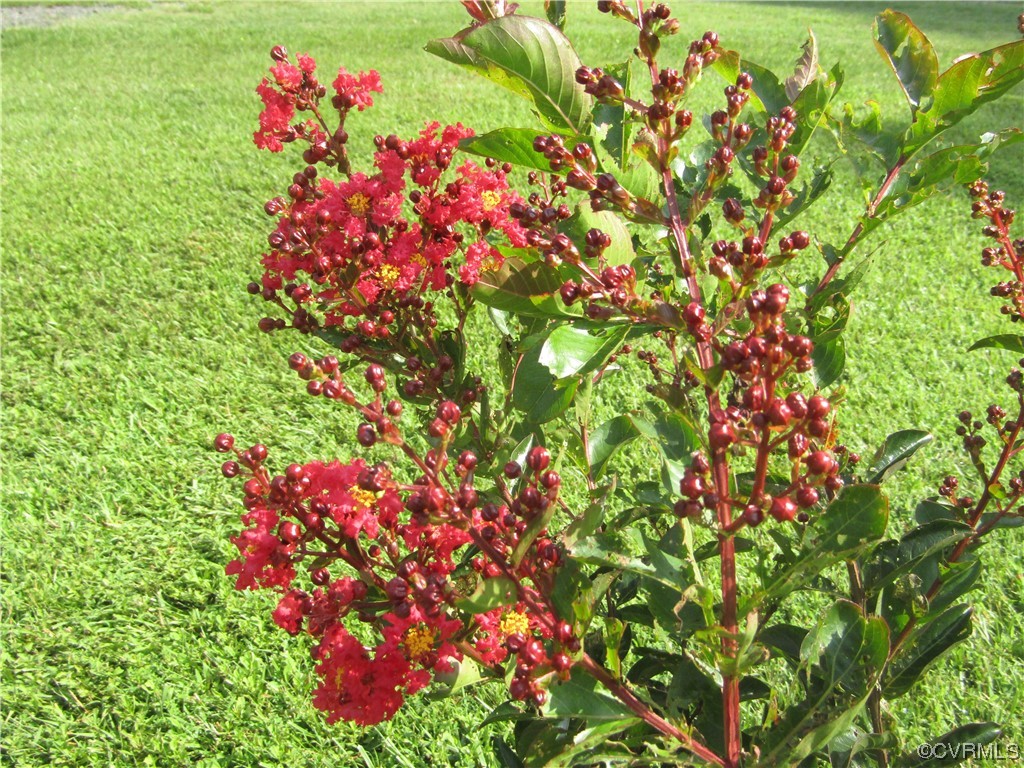 151 Bigger Rd