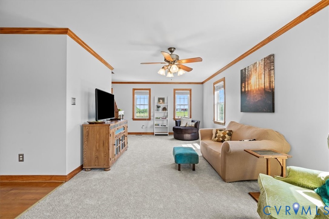 3137 Trenholm Rd
