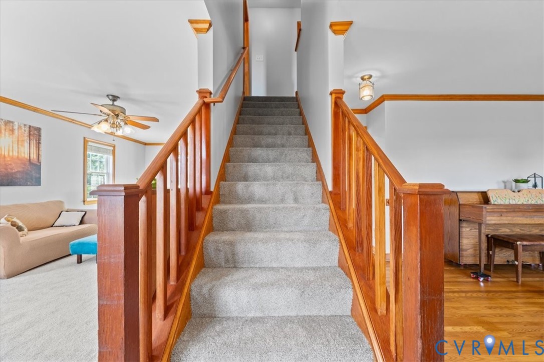 3137 Trenholm Rd