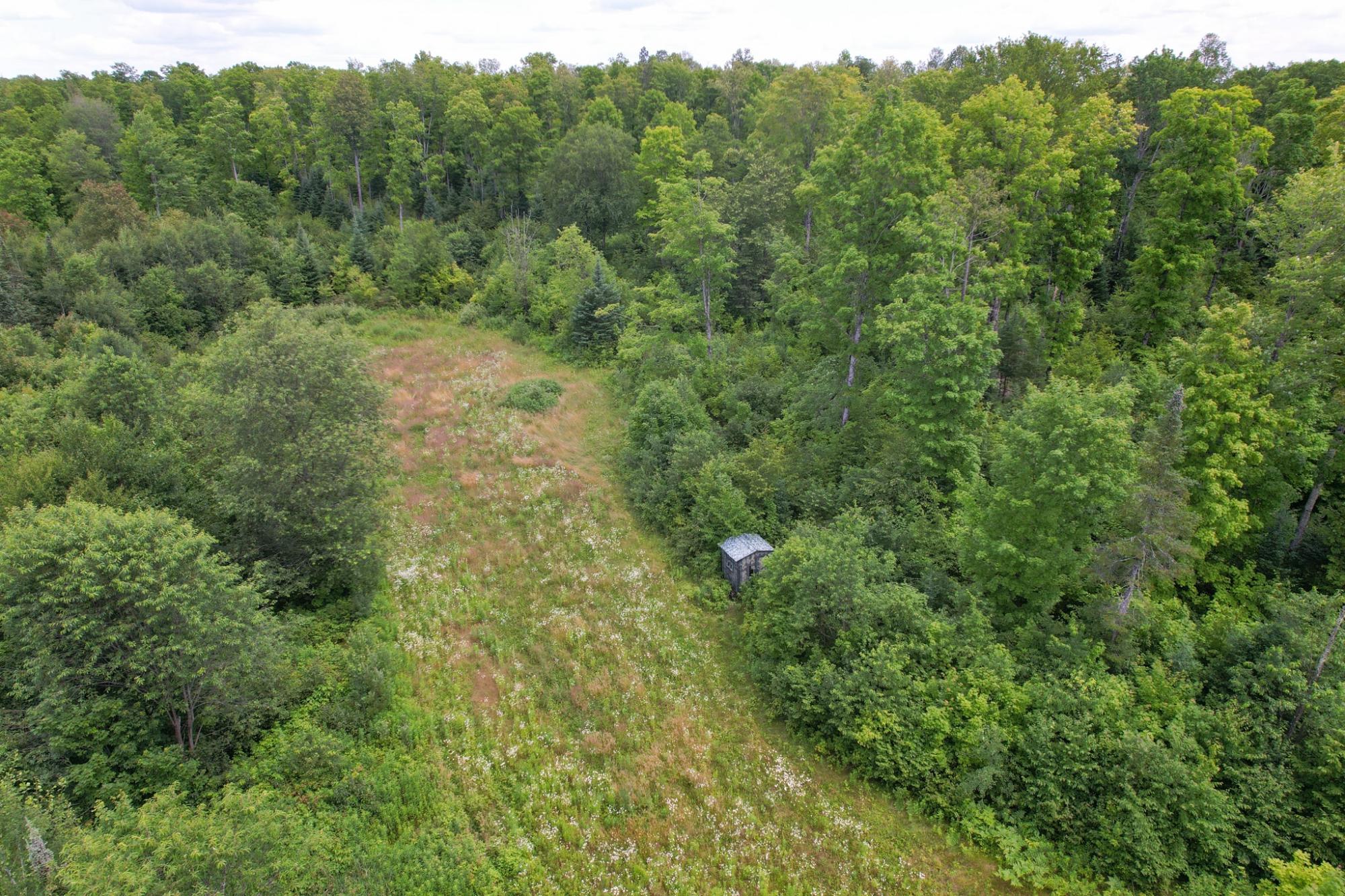 17166 RODDIS LINE RD