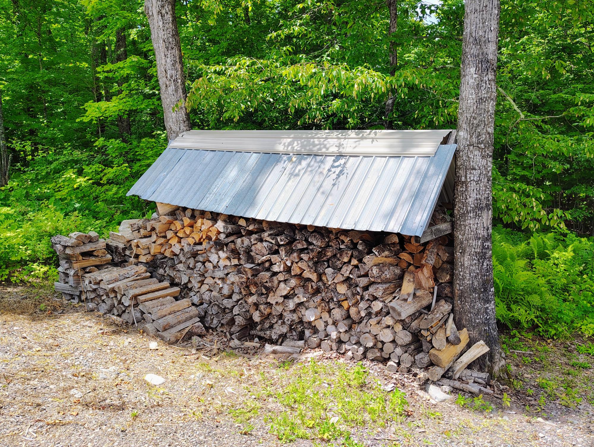 17166 RODDIS LINE RD