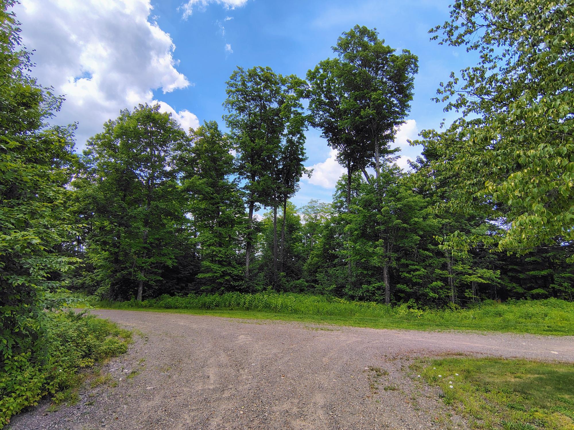 17166 RODDIS LINE RD