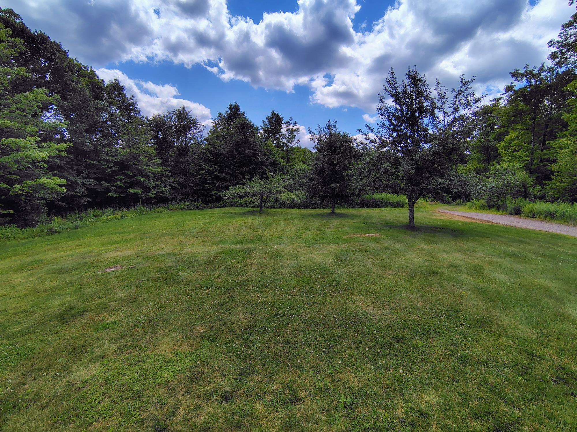 17166 RODDIS LINE RD
