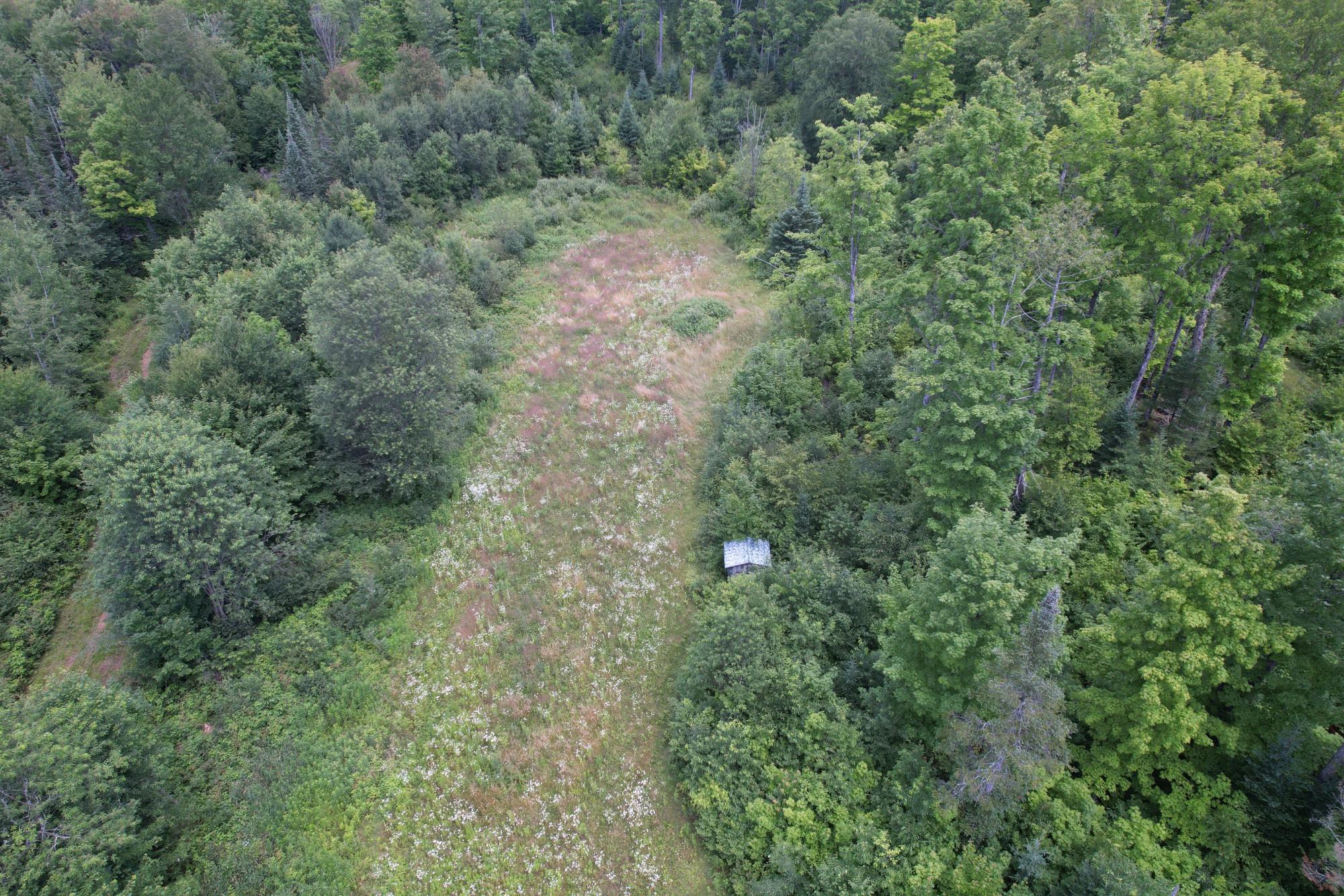 17166 RODDIS LINE RD