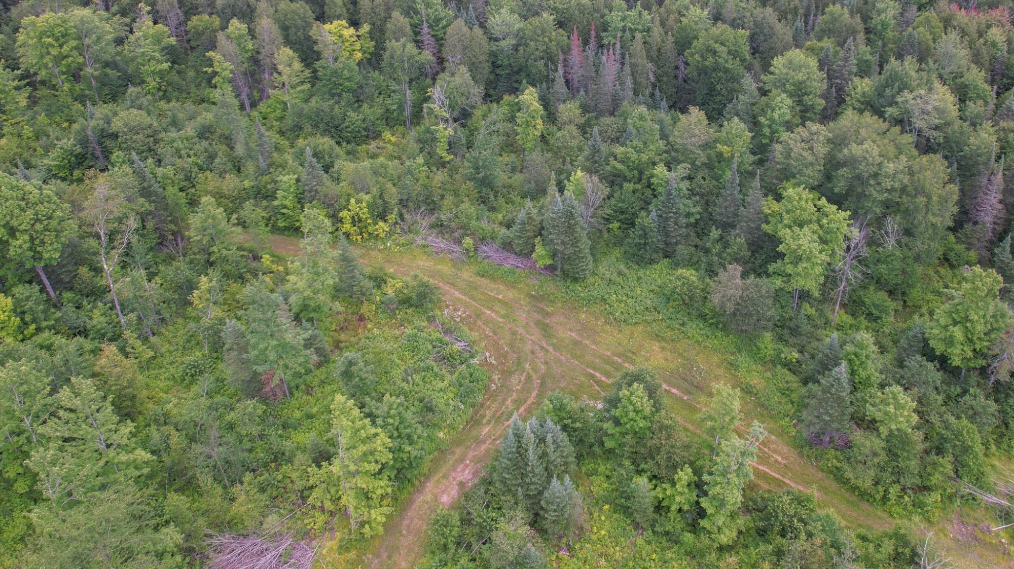 17166 RODDIS LINE RD