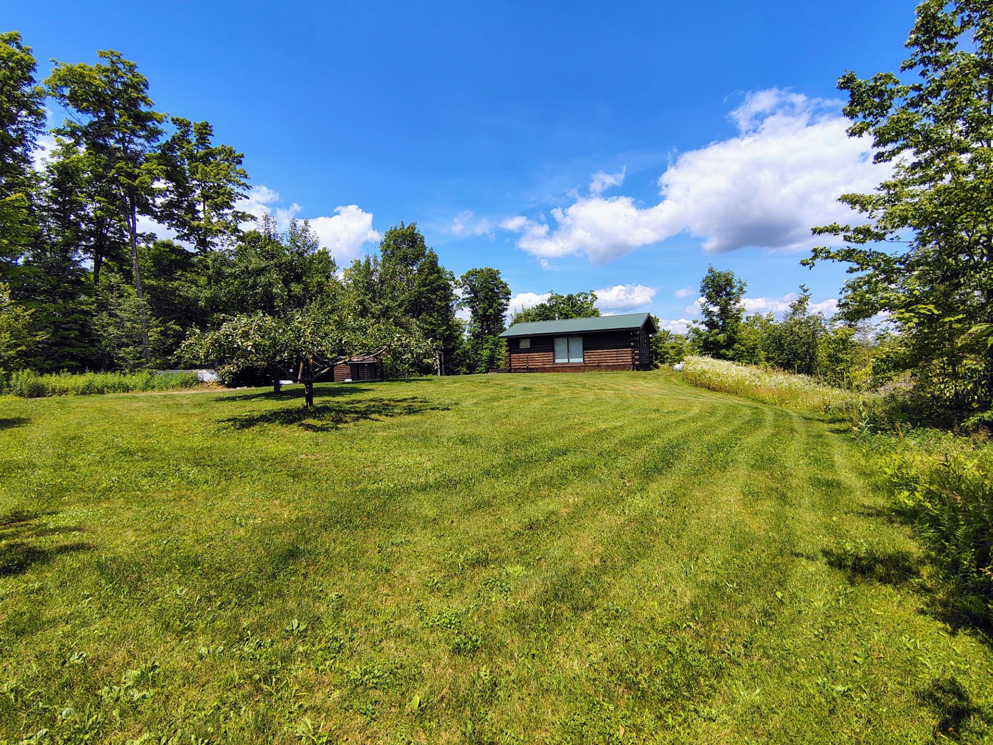 17166 RODDIS LINE RD