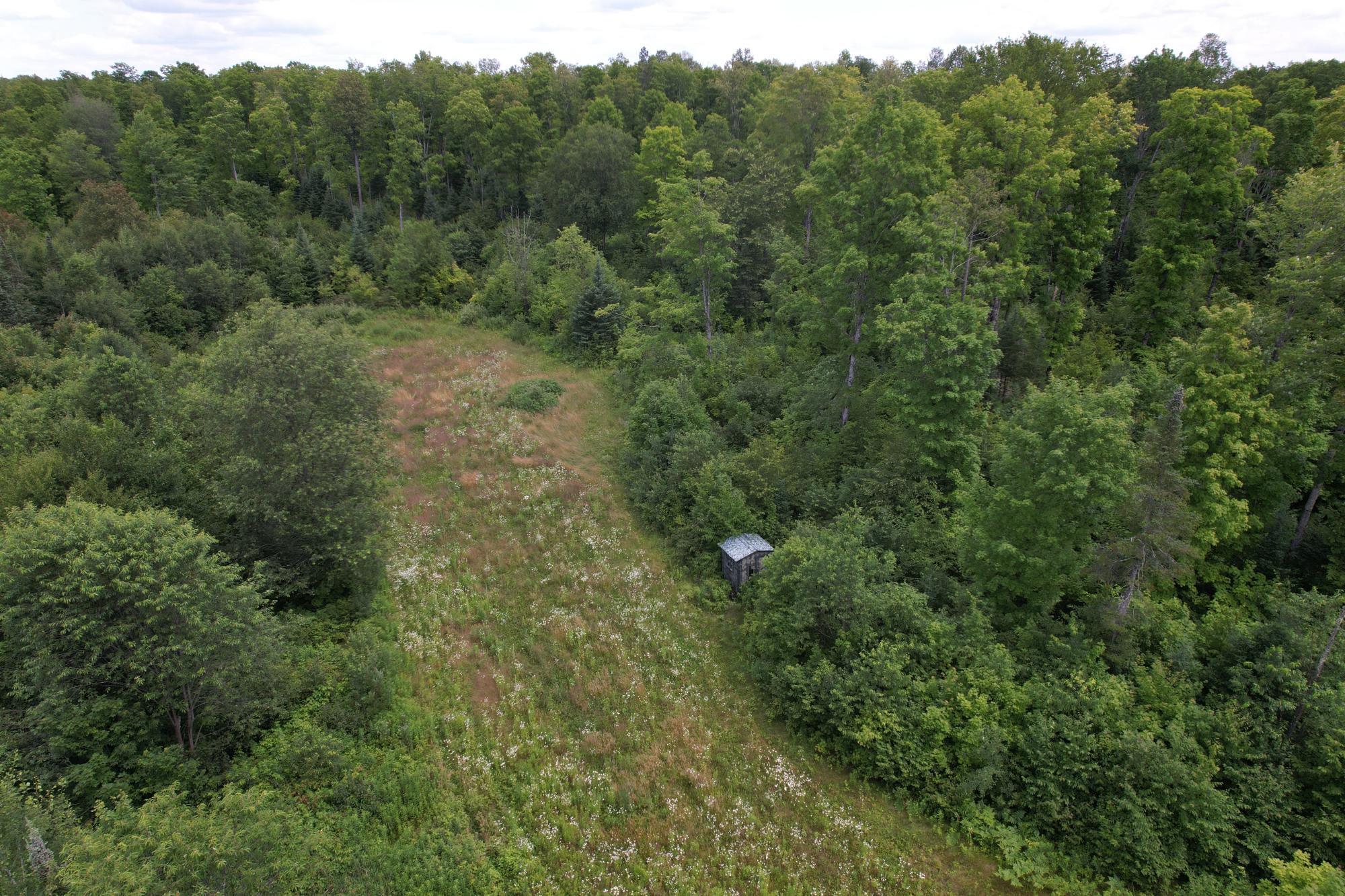 17166 RODDIS LINE RD