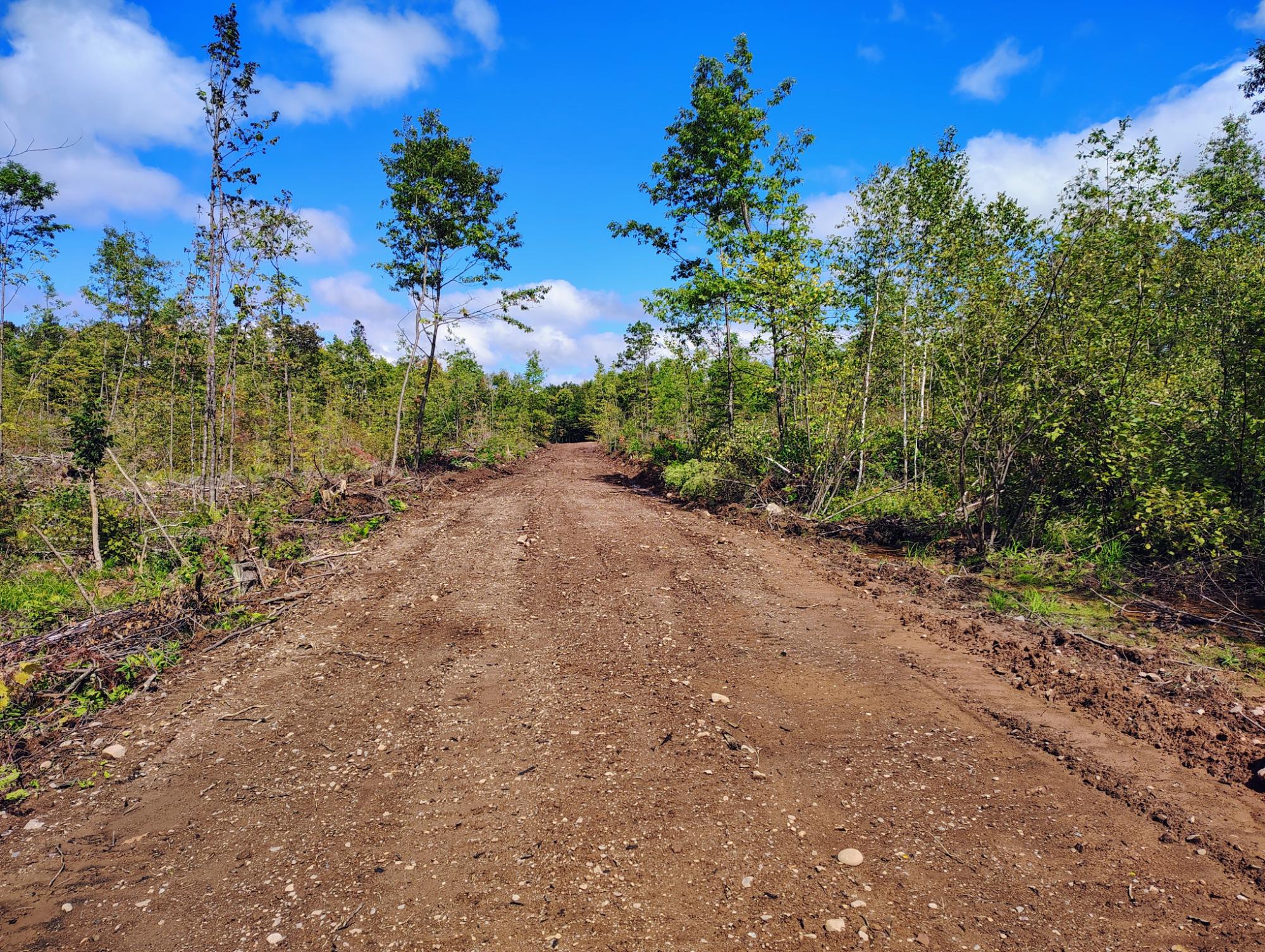 ON KORNSTEAD RD 80± acre