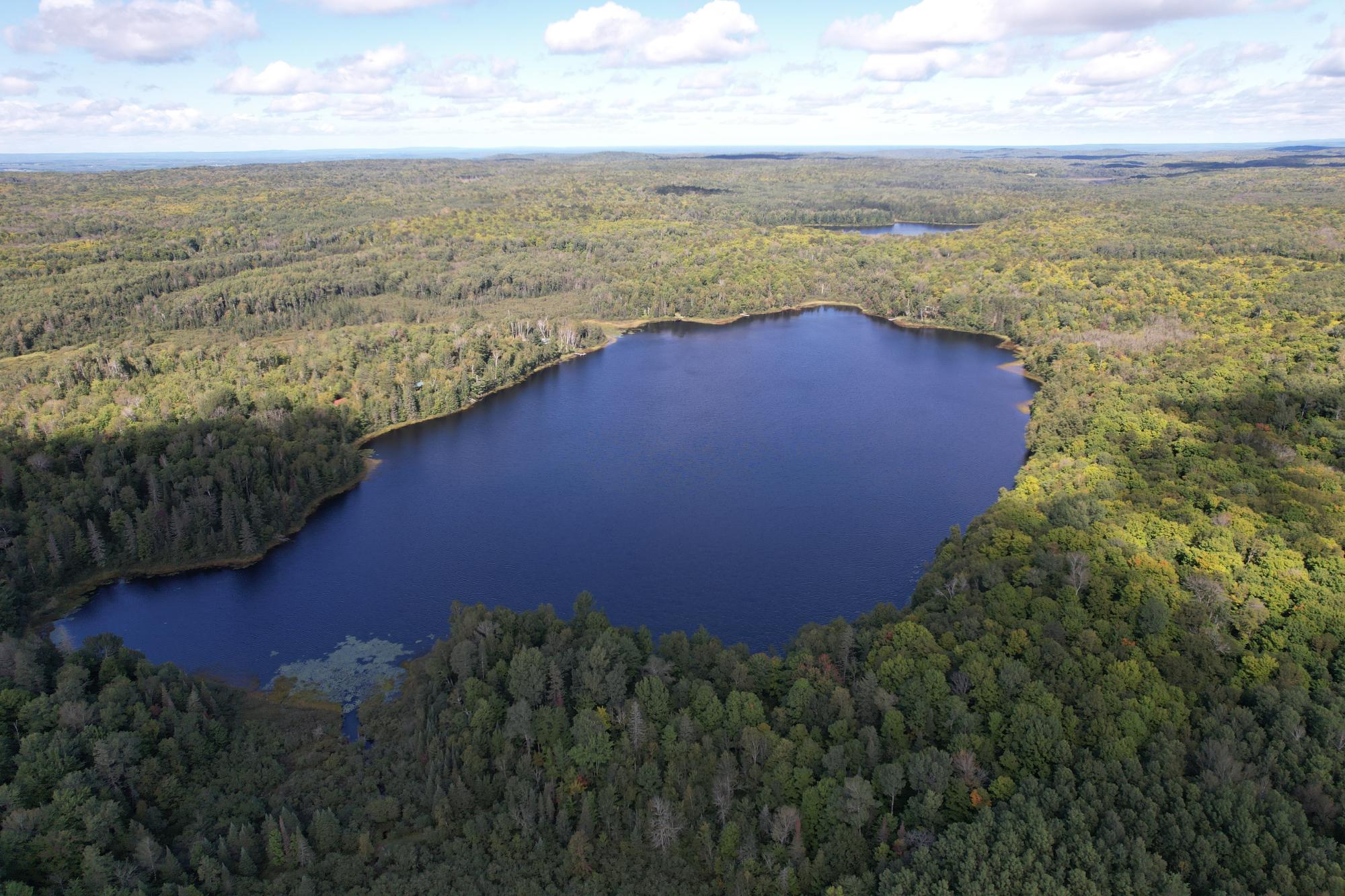 60667 TEA LAKE RD S