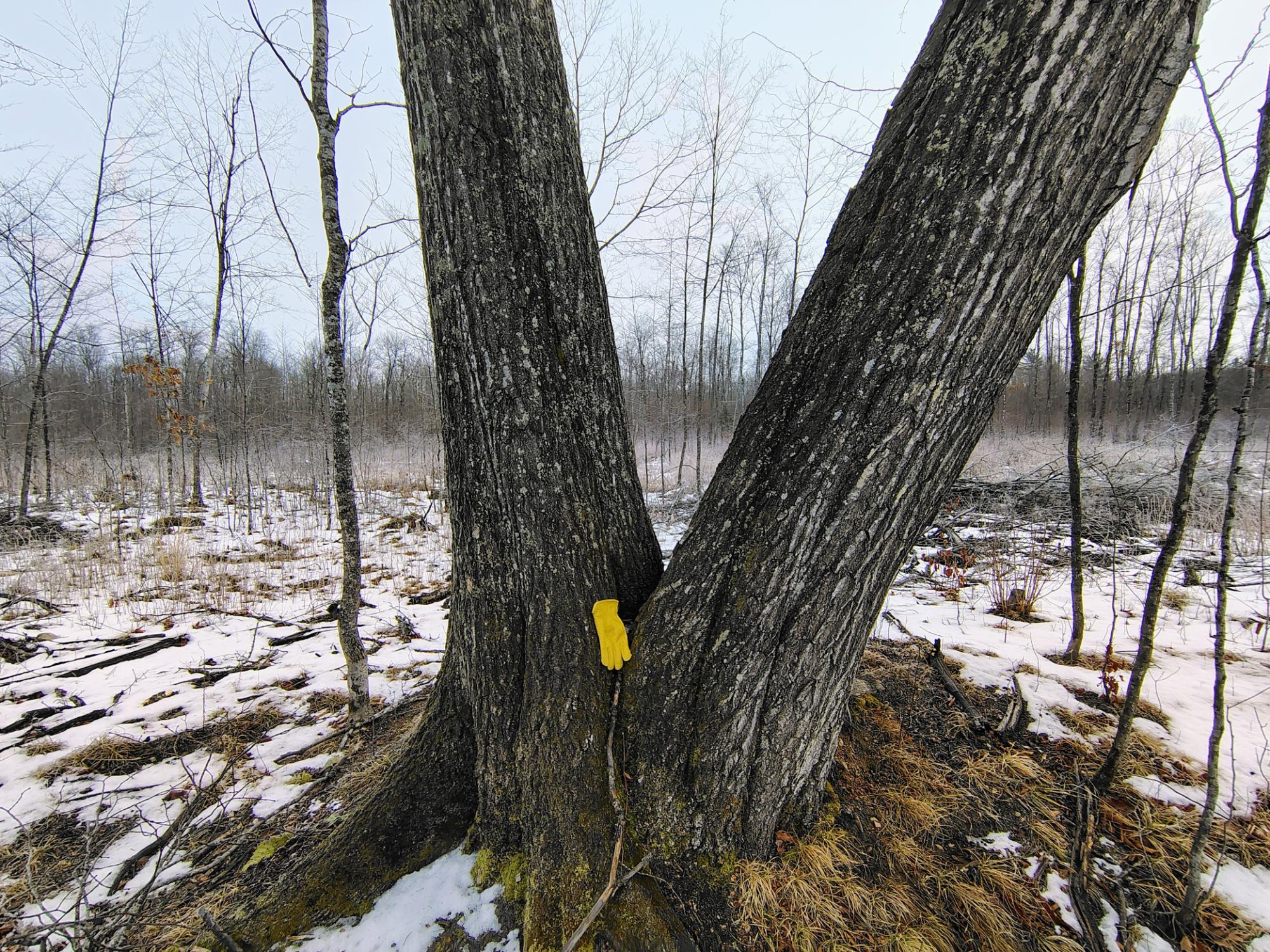 Ac Off NEW SHANAGOLDEN RD 39.98+/-