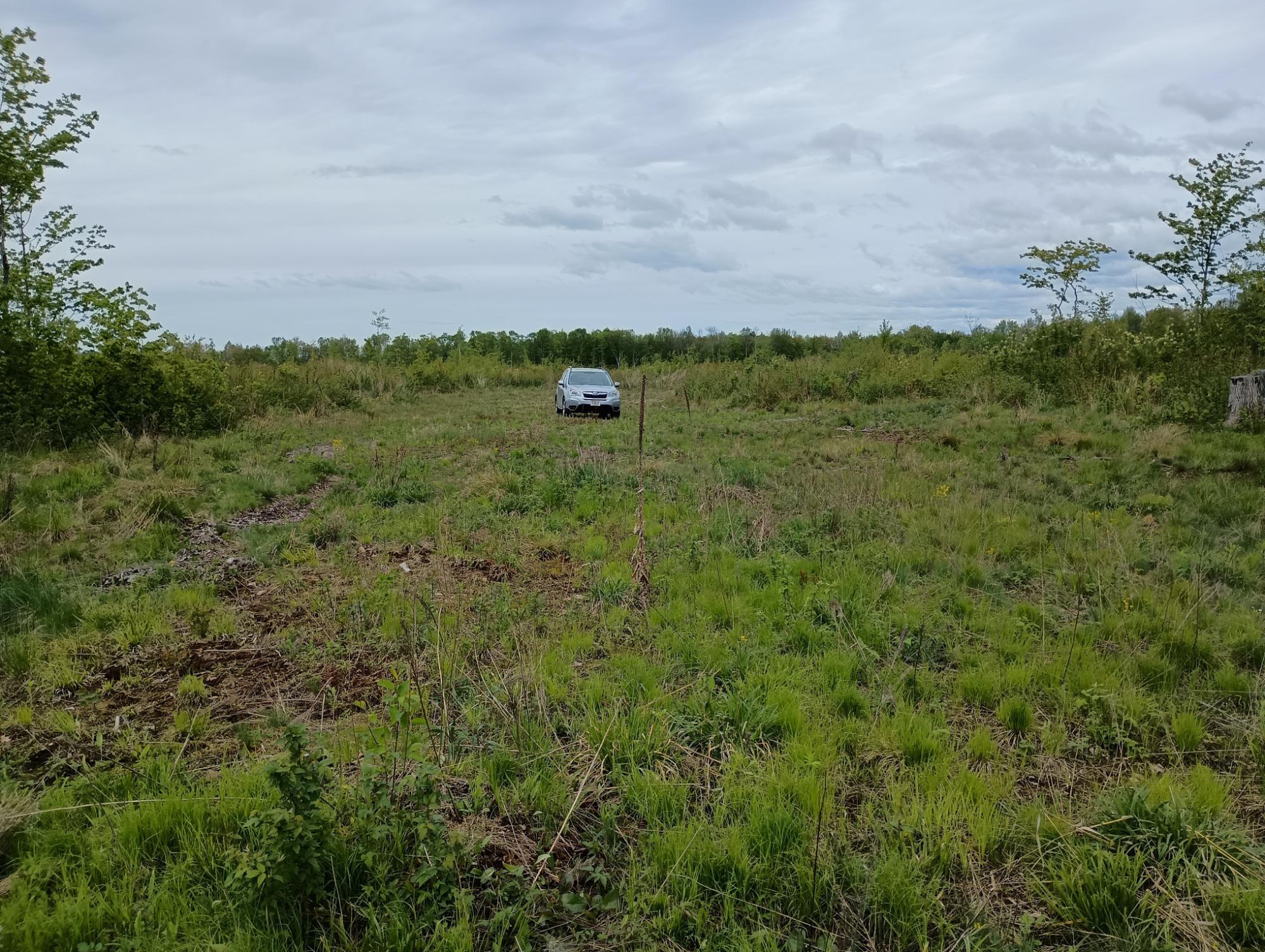 Ac Off NEW SHANAGOLDEN RD 39.98+/-