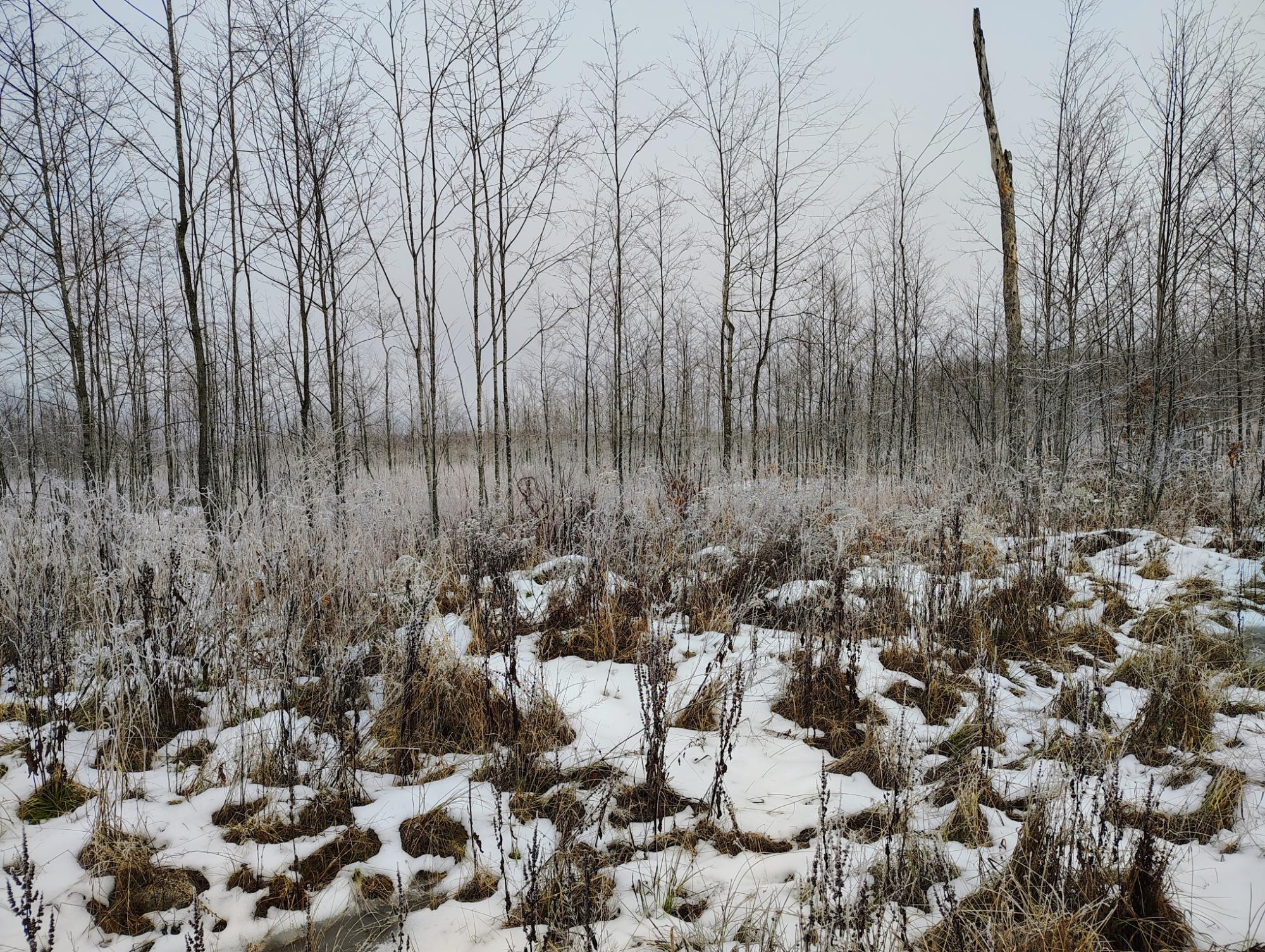 Ac Off NEW SHANAGOLDEN RD 39.98+/-