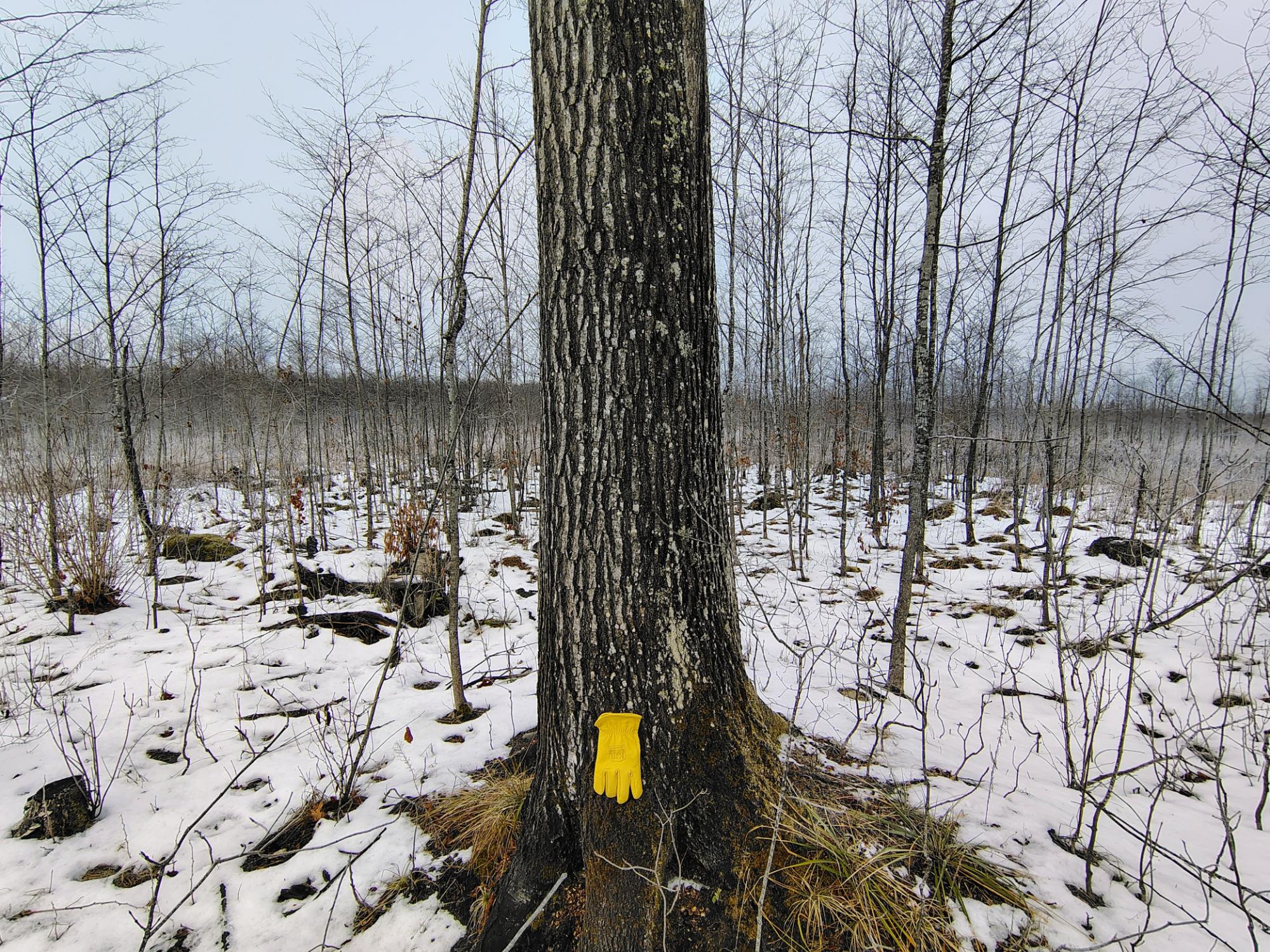 Ac Off NEW SHANAGOLDEN RD 39.98+/-
