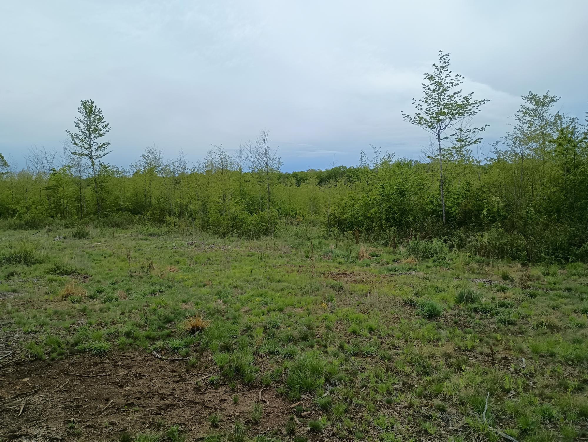 Ac Off NEW SHANAGOLDEN RD 39.98+/-