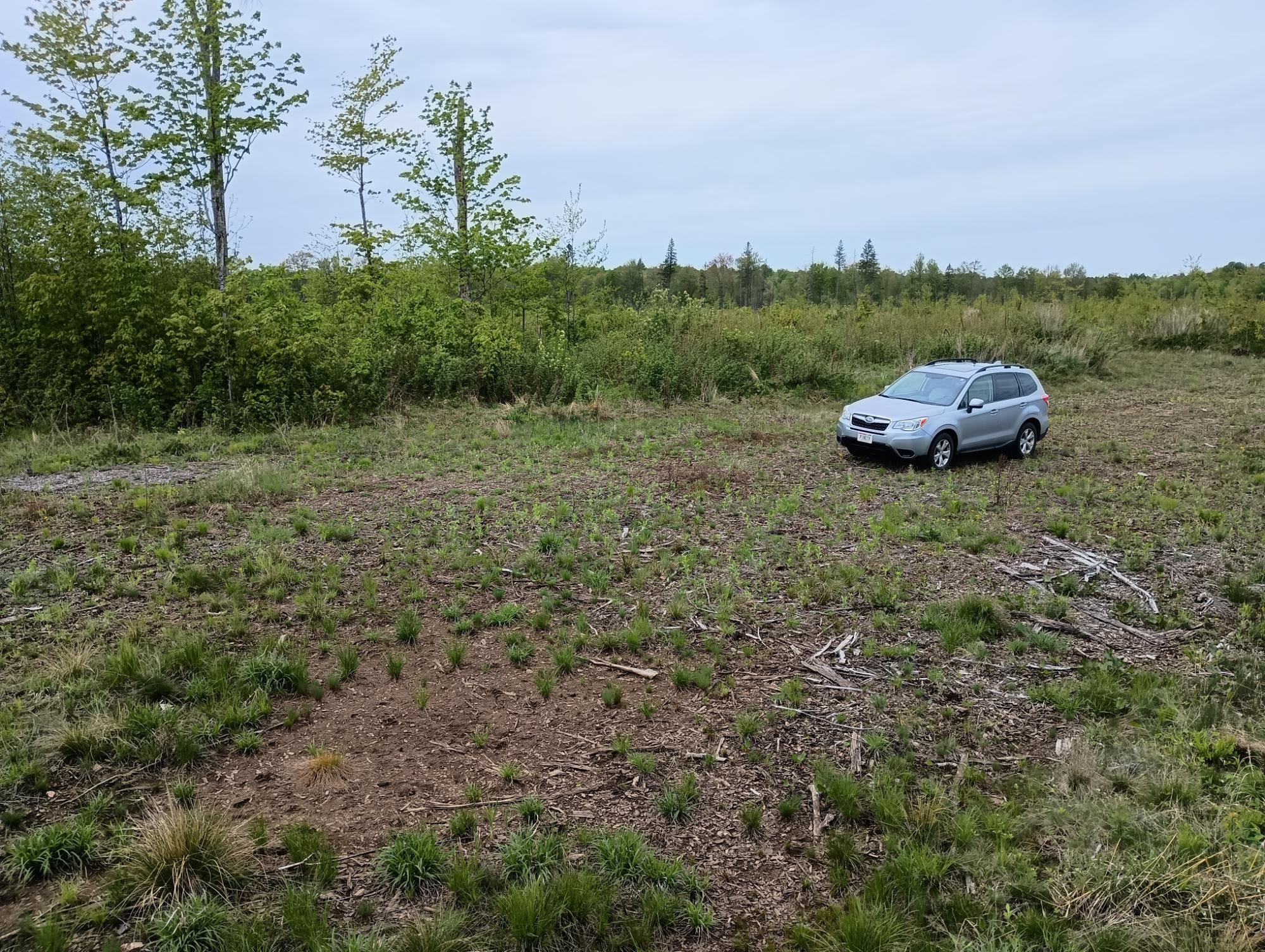 Ac Off NEW SHANAGOLDEN RD 39.98+/-