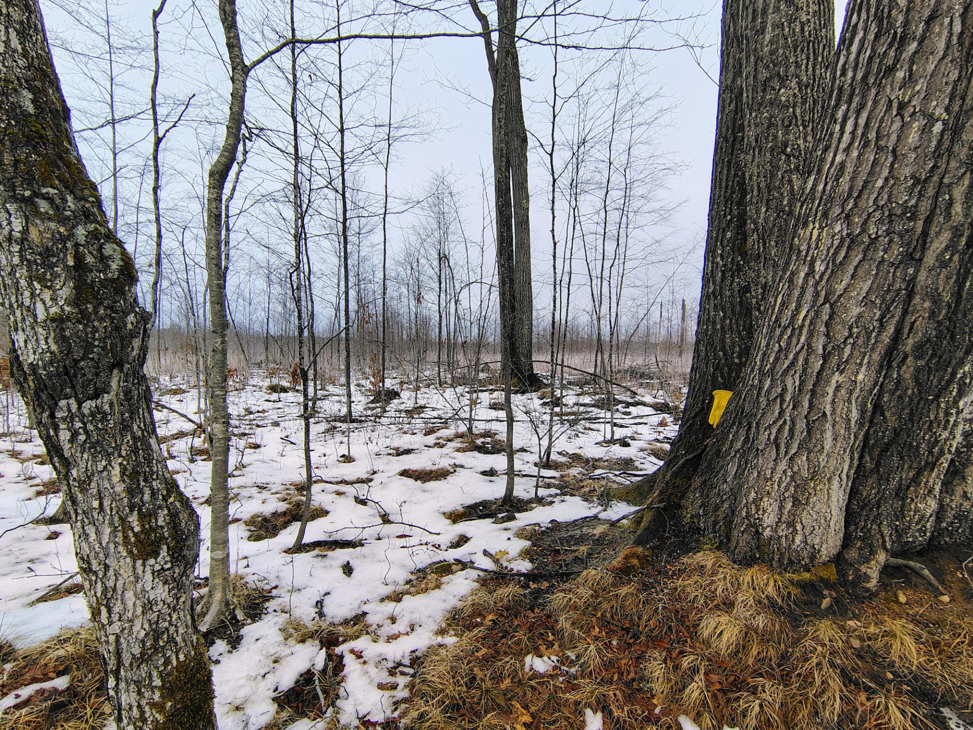 Ac Off NEW SHANAGOLDEN RD 39.98+/-