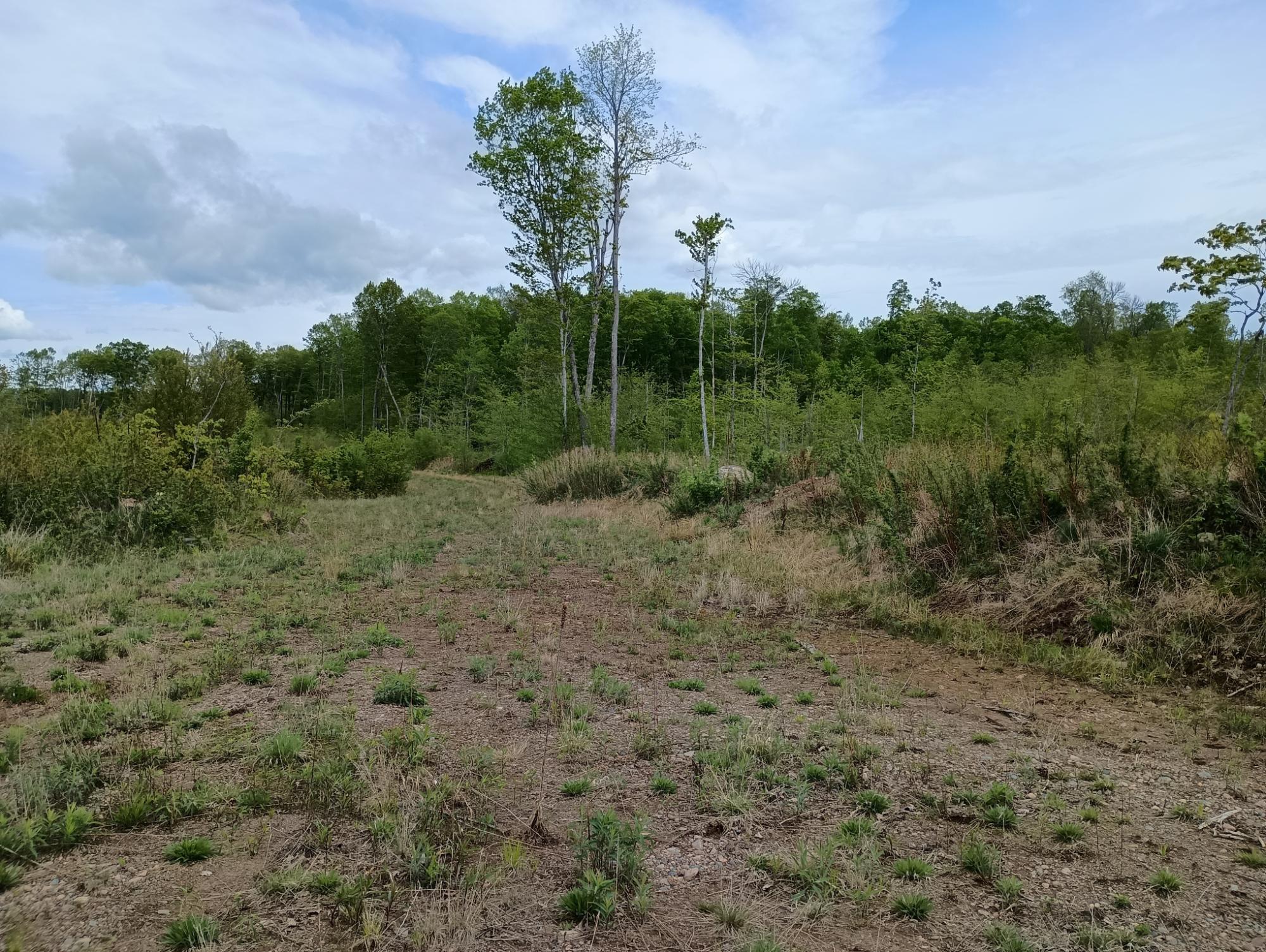 Ac Off NEW SHANAGOLDEN RD 39.98+/-