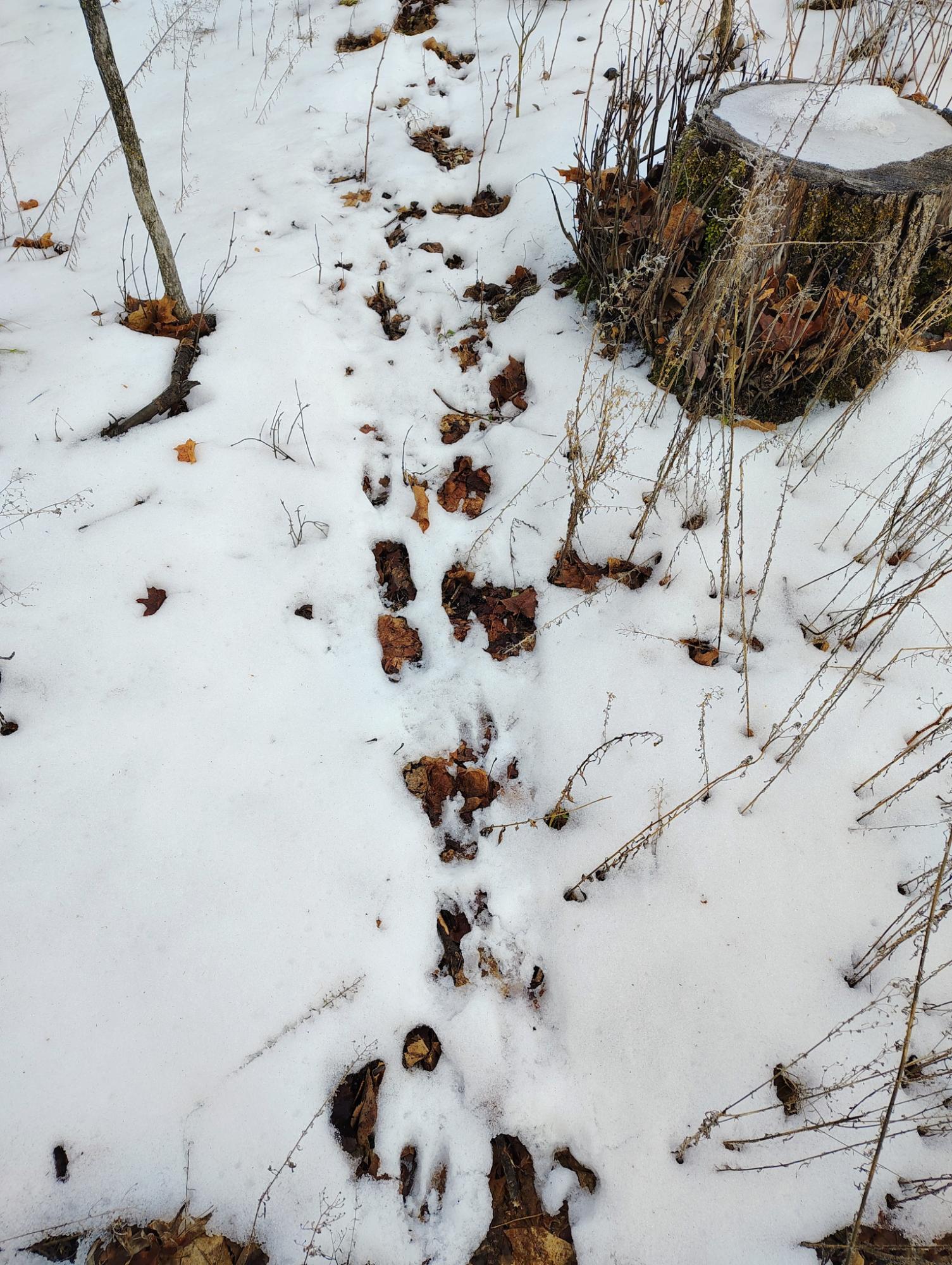 Ac Off NEW SHANAGOLDEN RD 39.98+/-