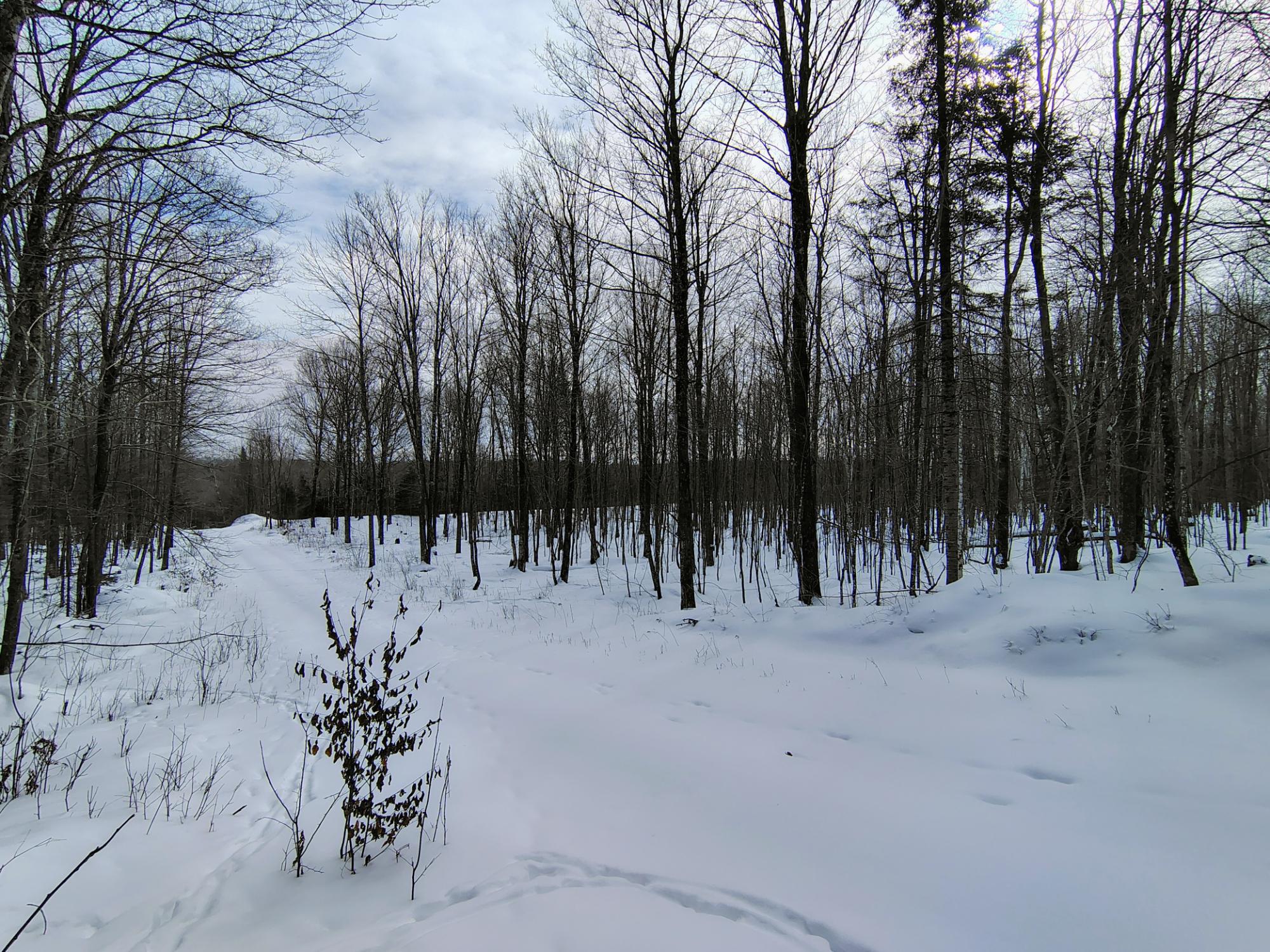 ON KENNEYS RD 40 acres