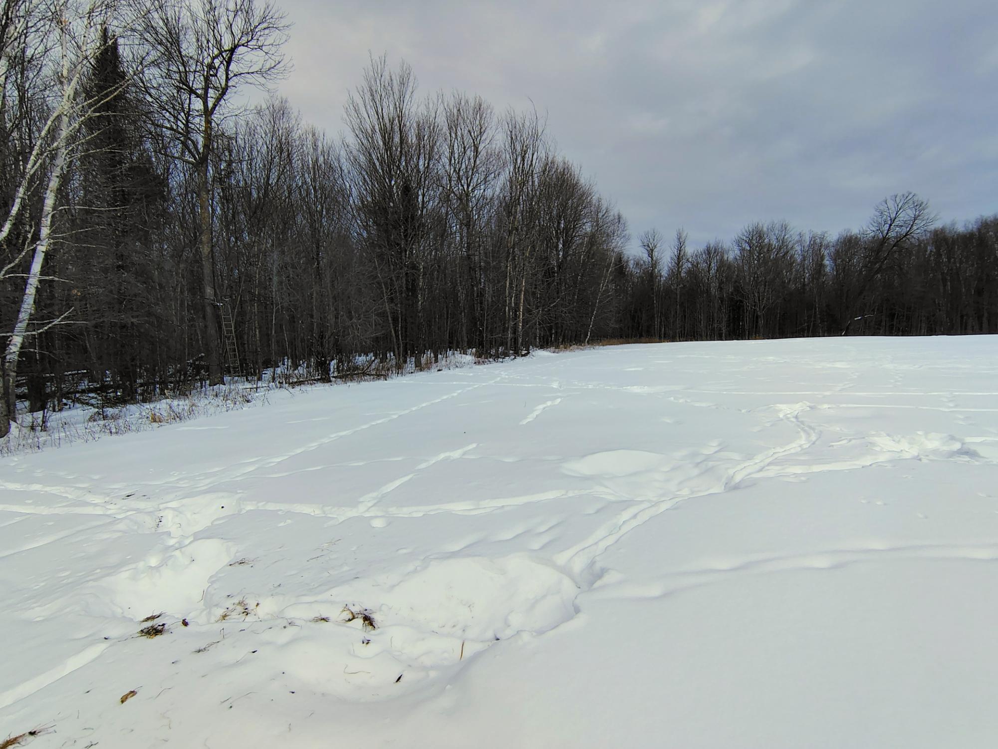 ON KENNEYS RD 40 acres