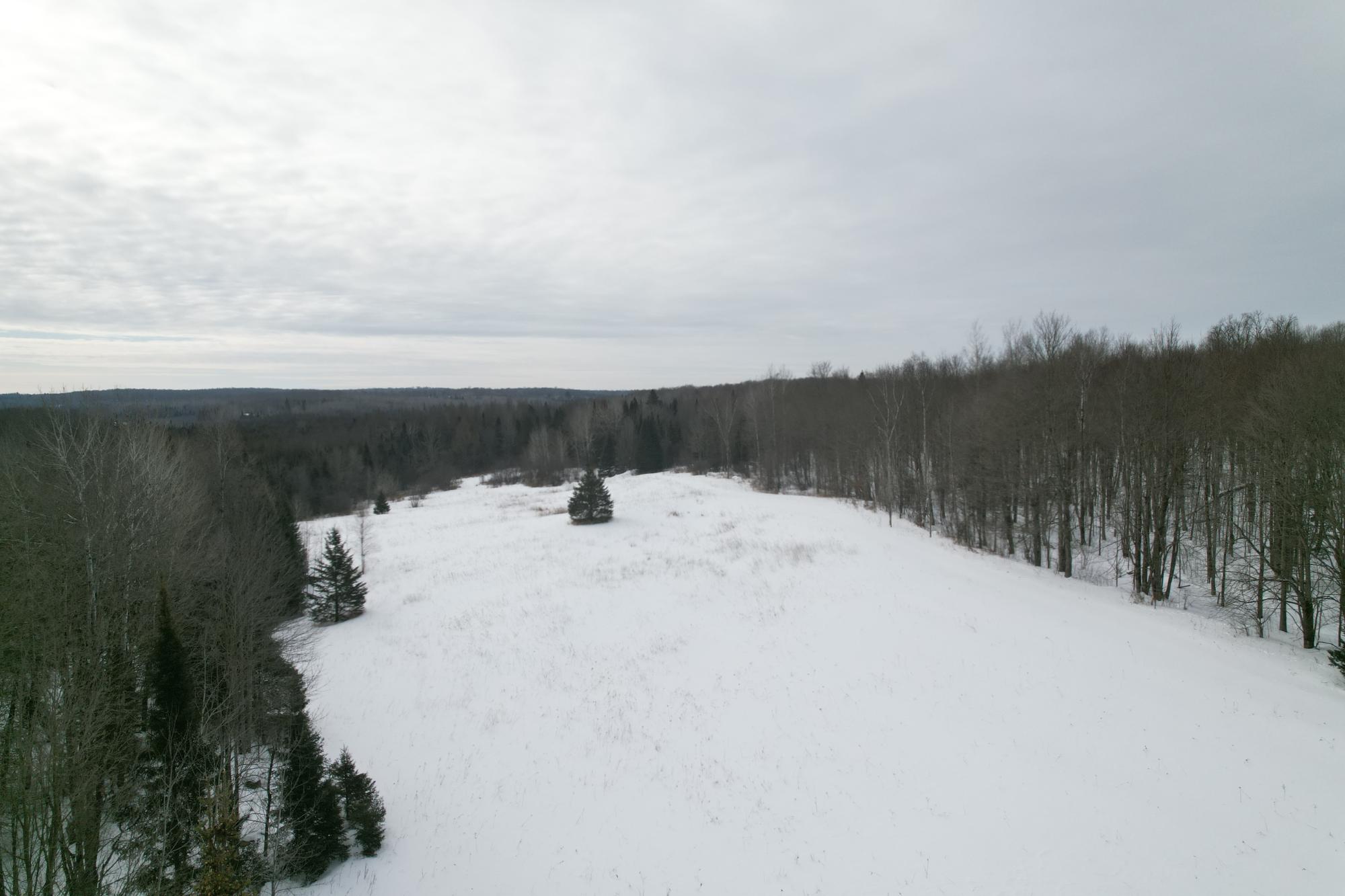 ON KENNEYS RD 40 acres