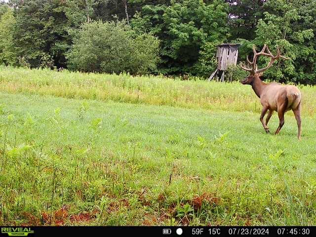 ON KENNEYS RD 40 acres