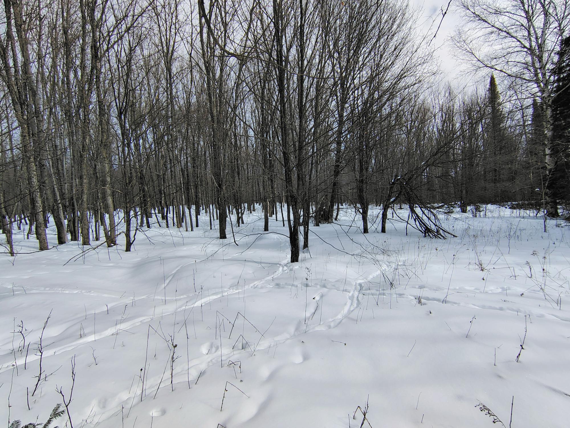 ON KENNEYS RD 40 acres