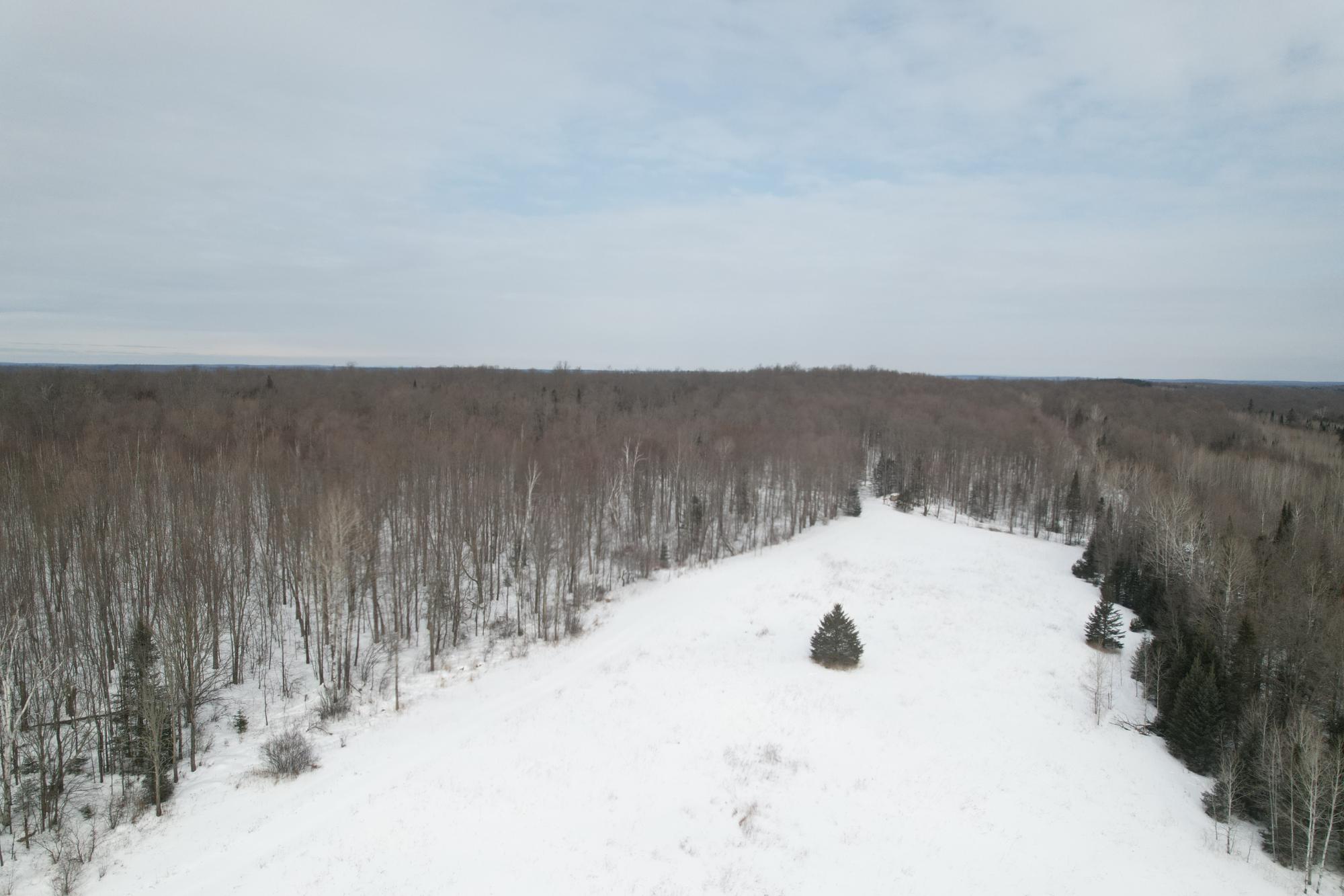 ON KENNEYS RD 40 acres
