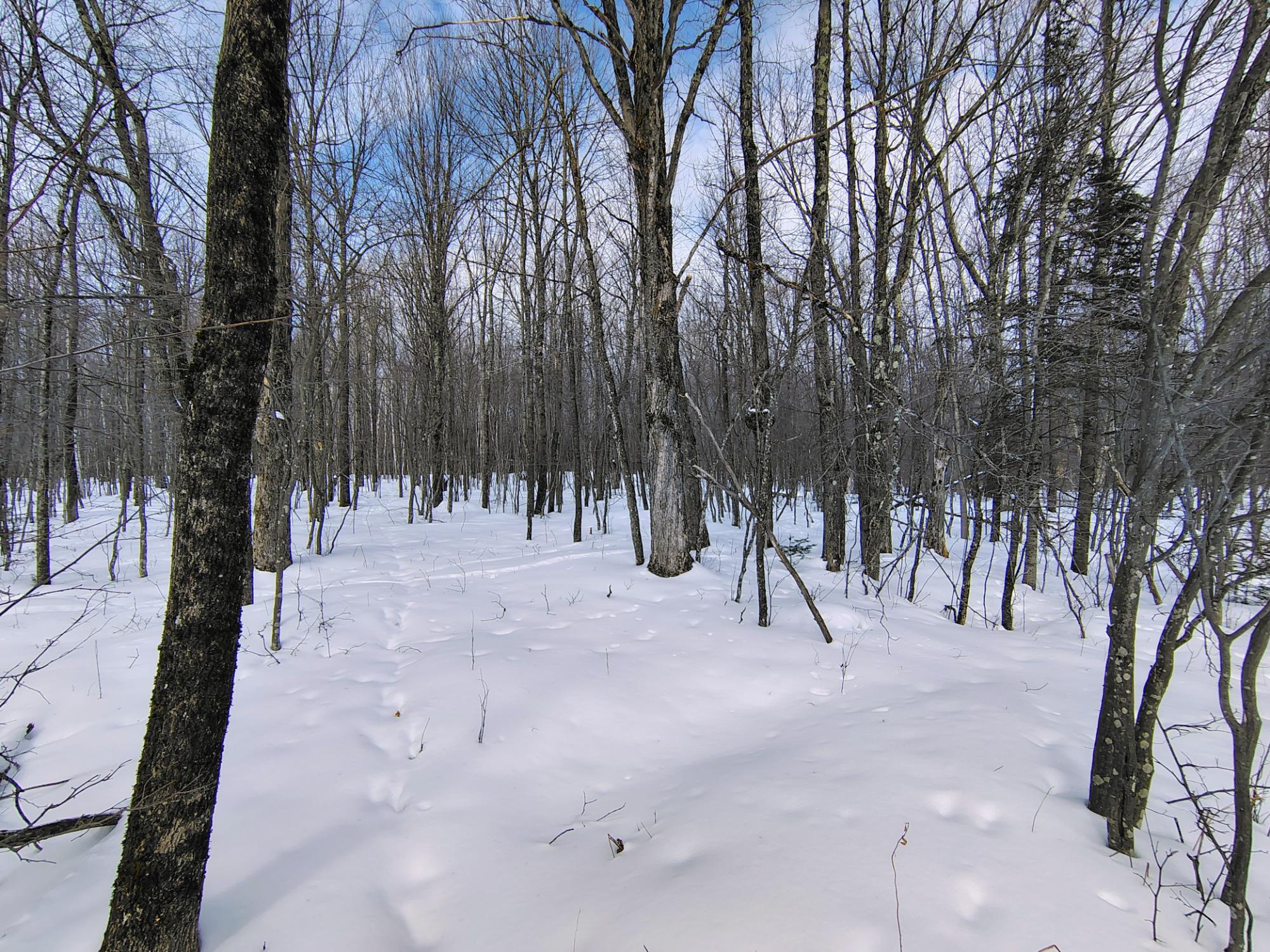 ON KENNEYS RD 40 acres