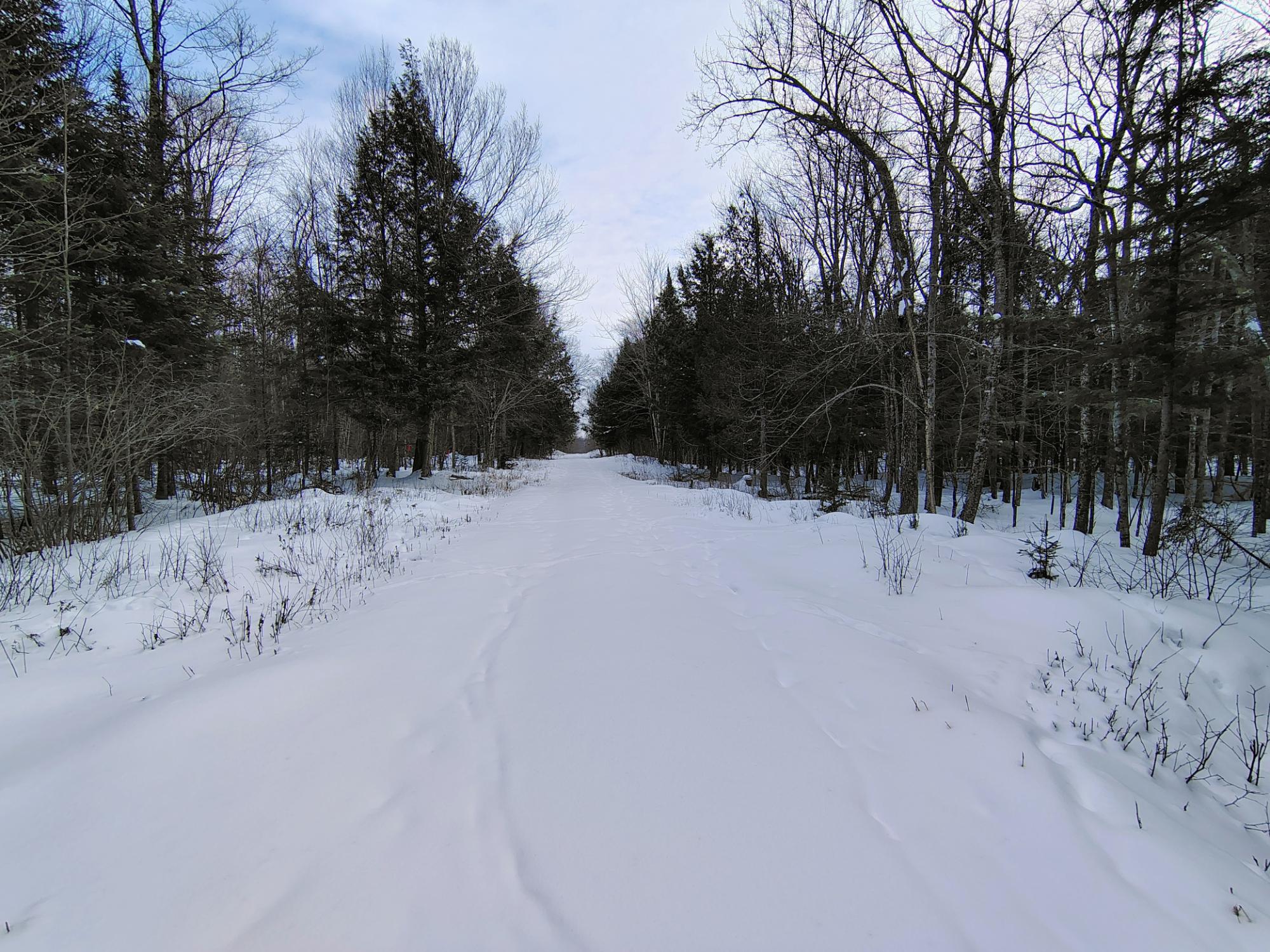 ON KENNEYS RD 40 acres