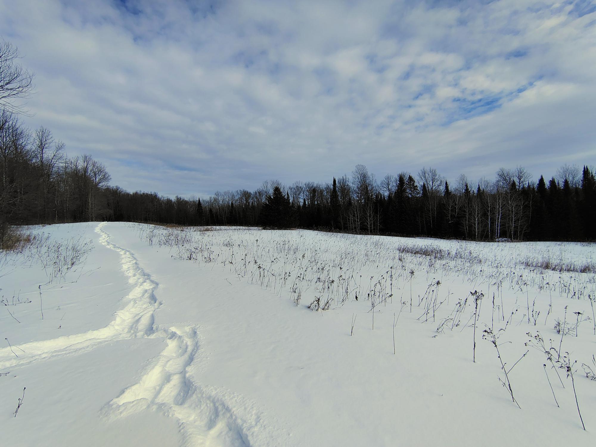 ON KENNEYS RD 40 acres