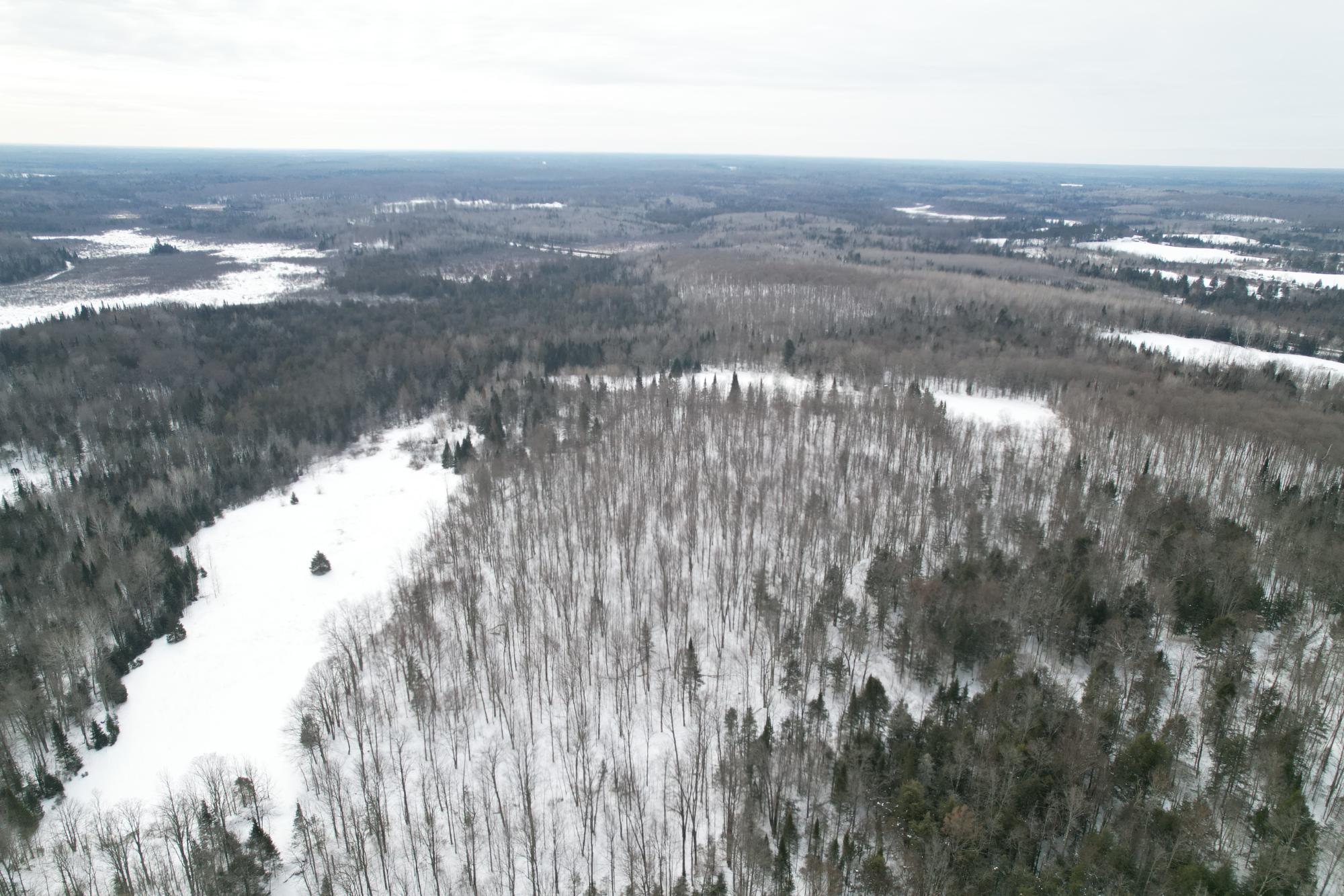 ON KENNEYS RD 40 acres