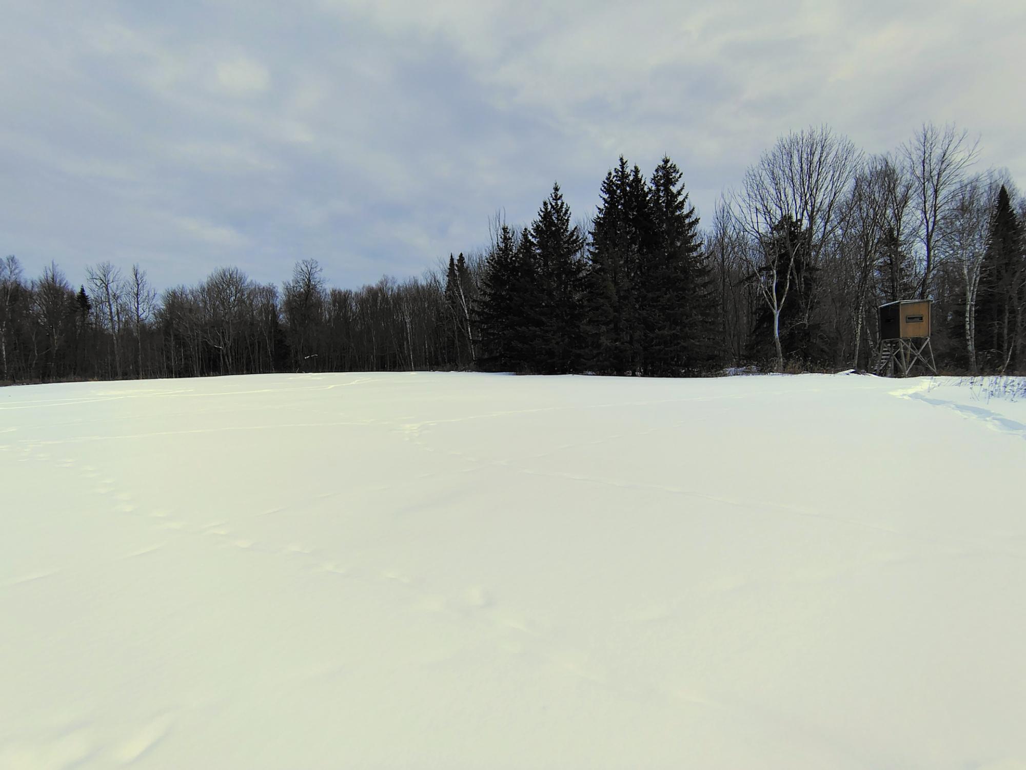 ON KENNEYS RD 40 acres