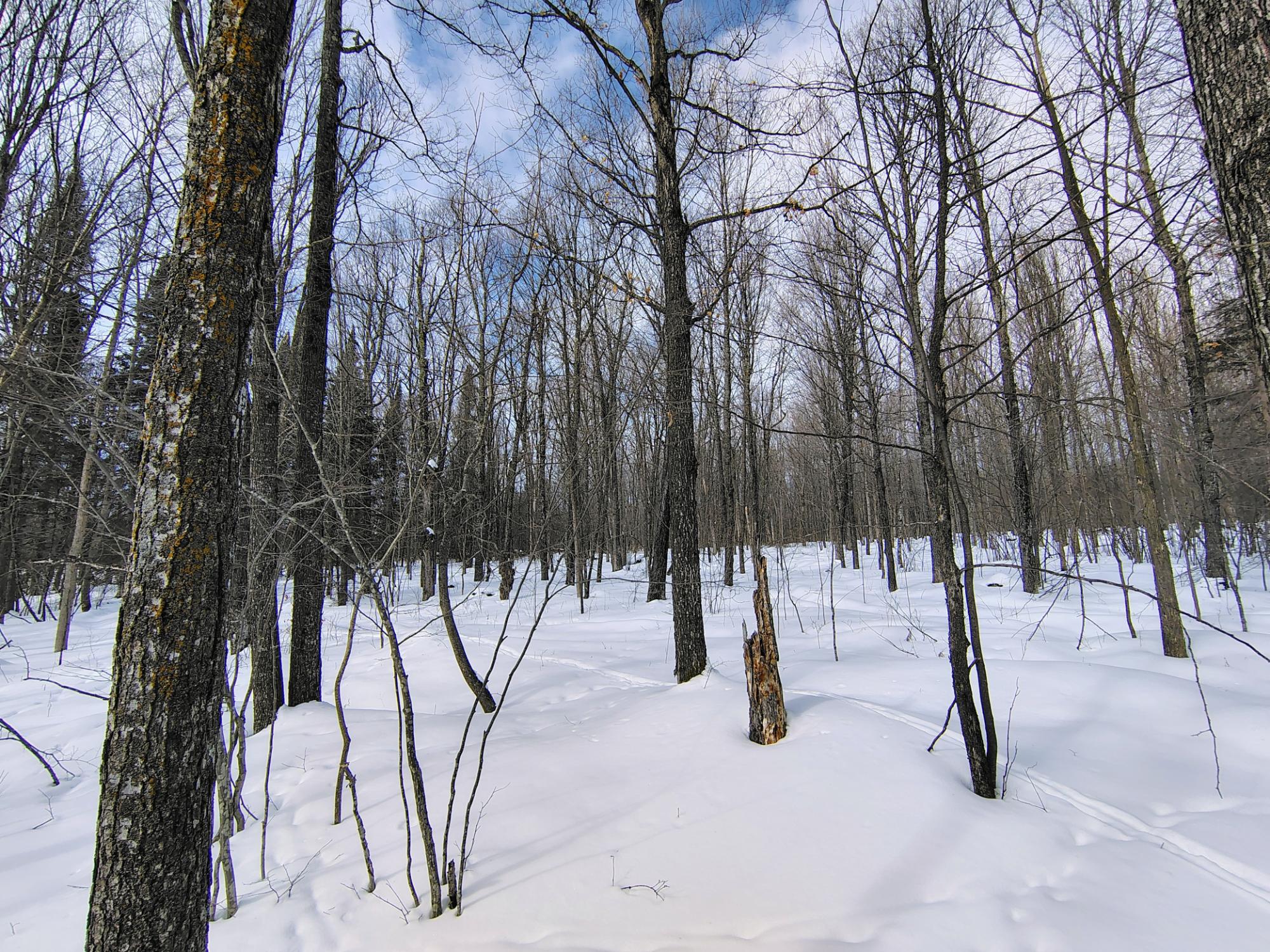 ON KENNEYS RD 40 acres