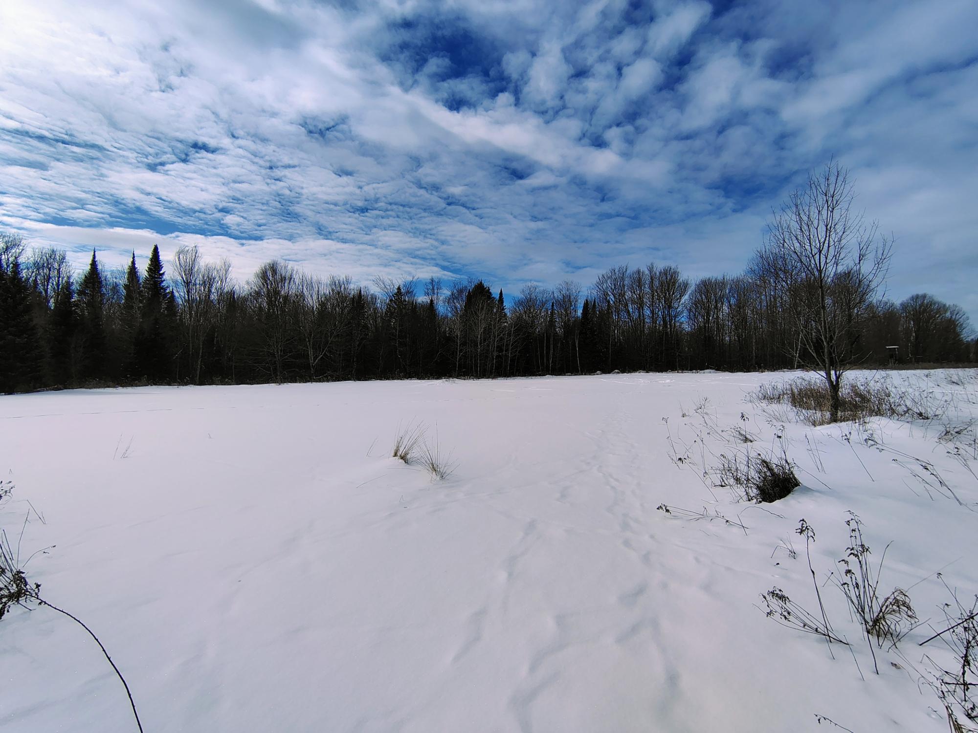 ON KENNEYS RD 40 acres