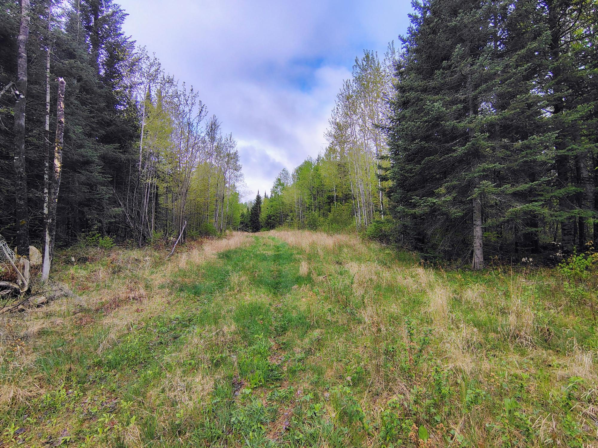 N16672 HOFFMAN LAKE RD