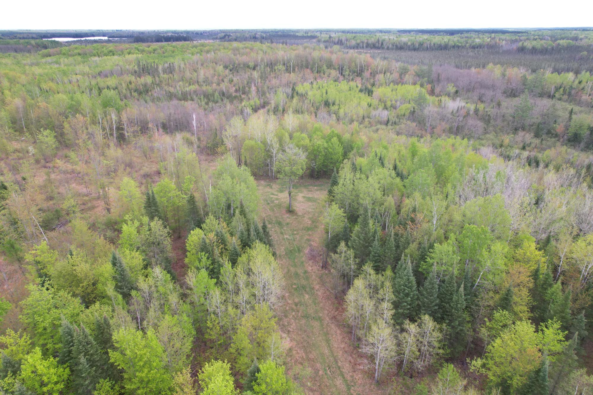 N16672 HOFFMAN LAKE RD
