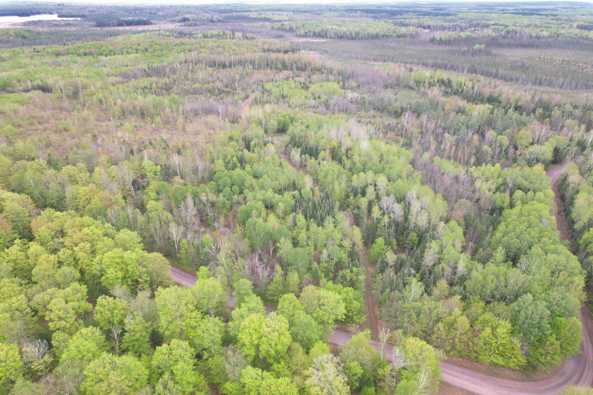 N16672 HOFFMAN LAKE RD